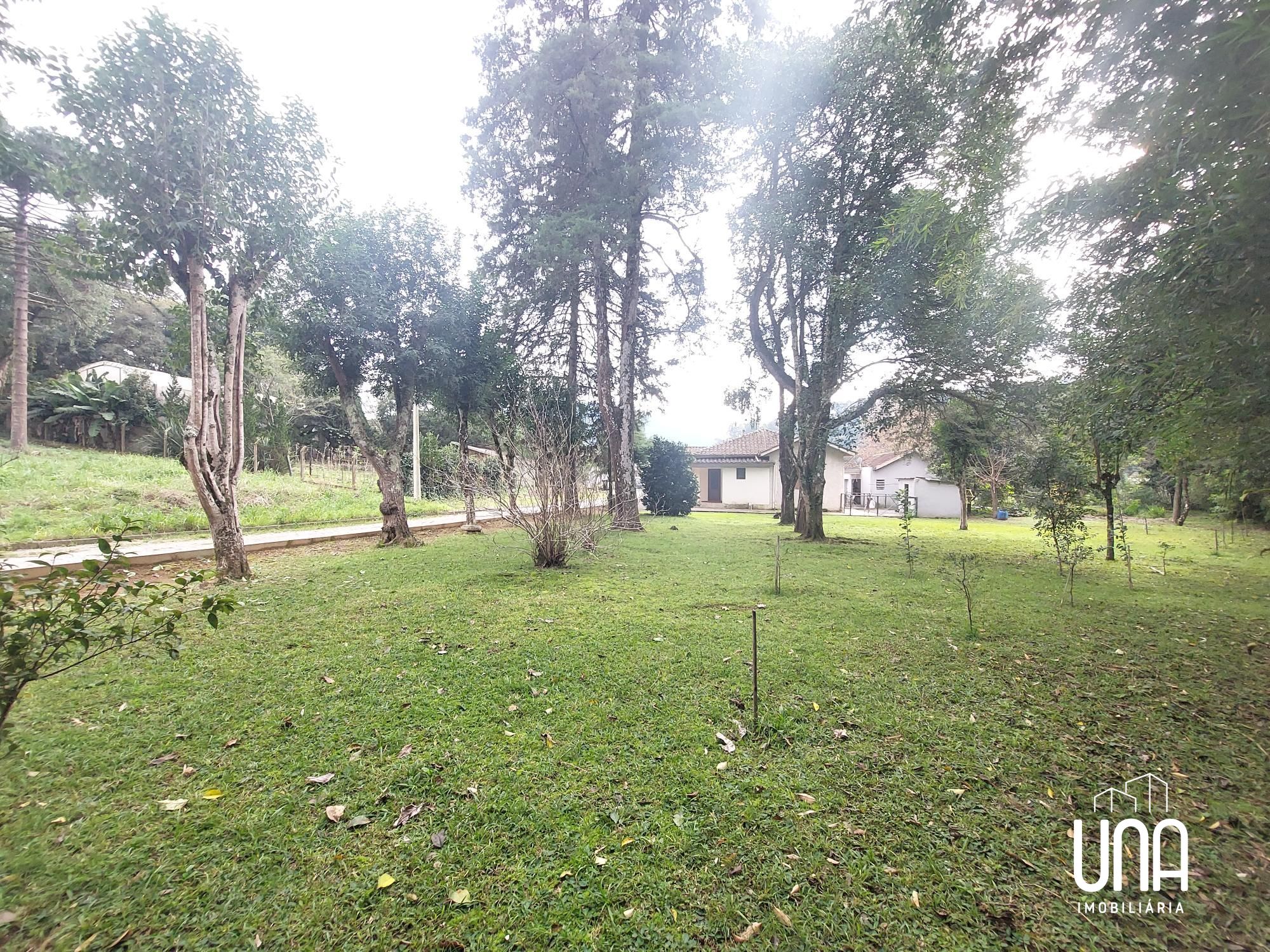 Chácara, 4 quartos, 2365 m² - Foto 6