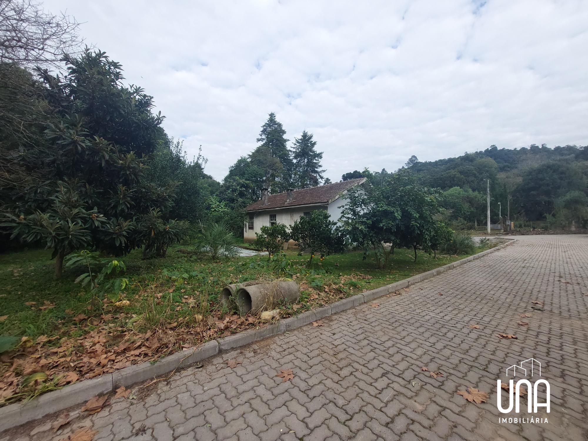 Chácara, 4 quartos, 2365 m² - Foto 5