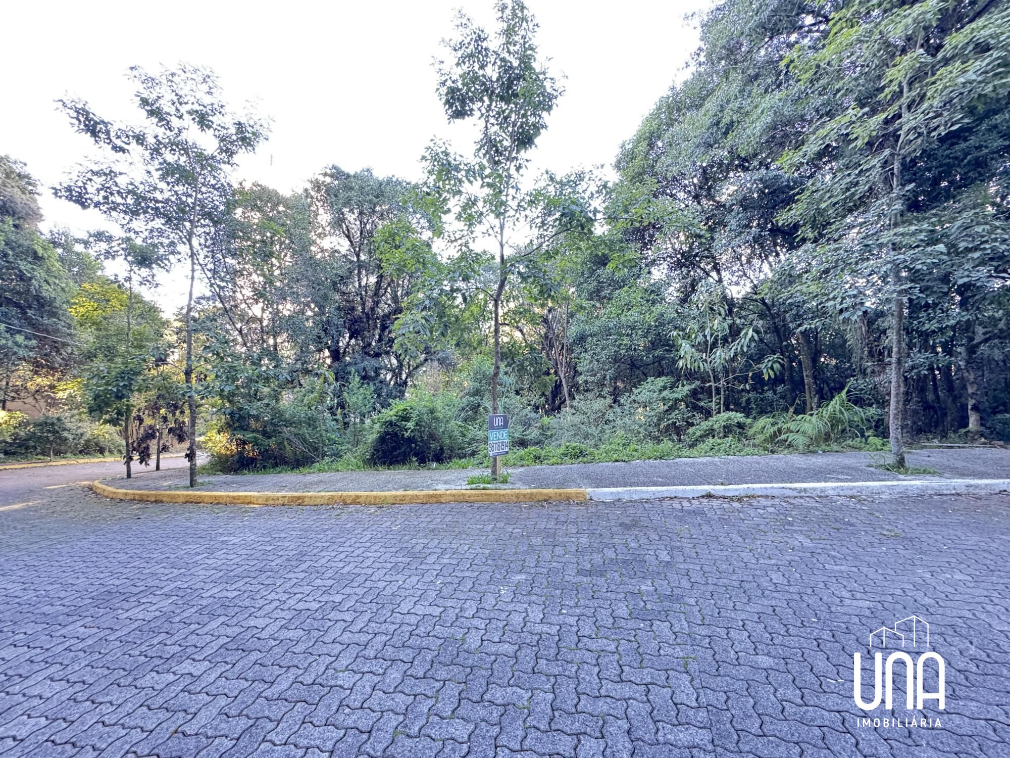 Terreno, 377 m² - Foto 3