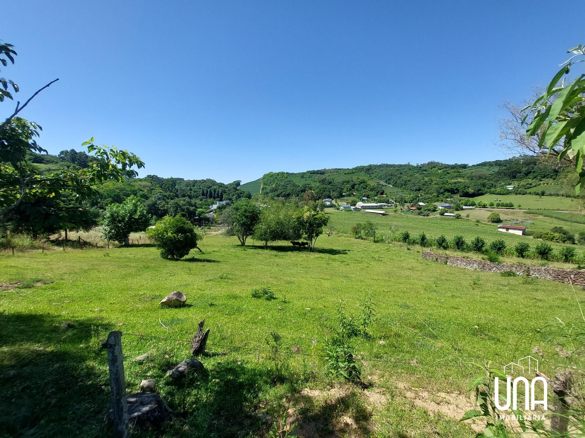 Chácara, 2 hectares - Foto 6