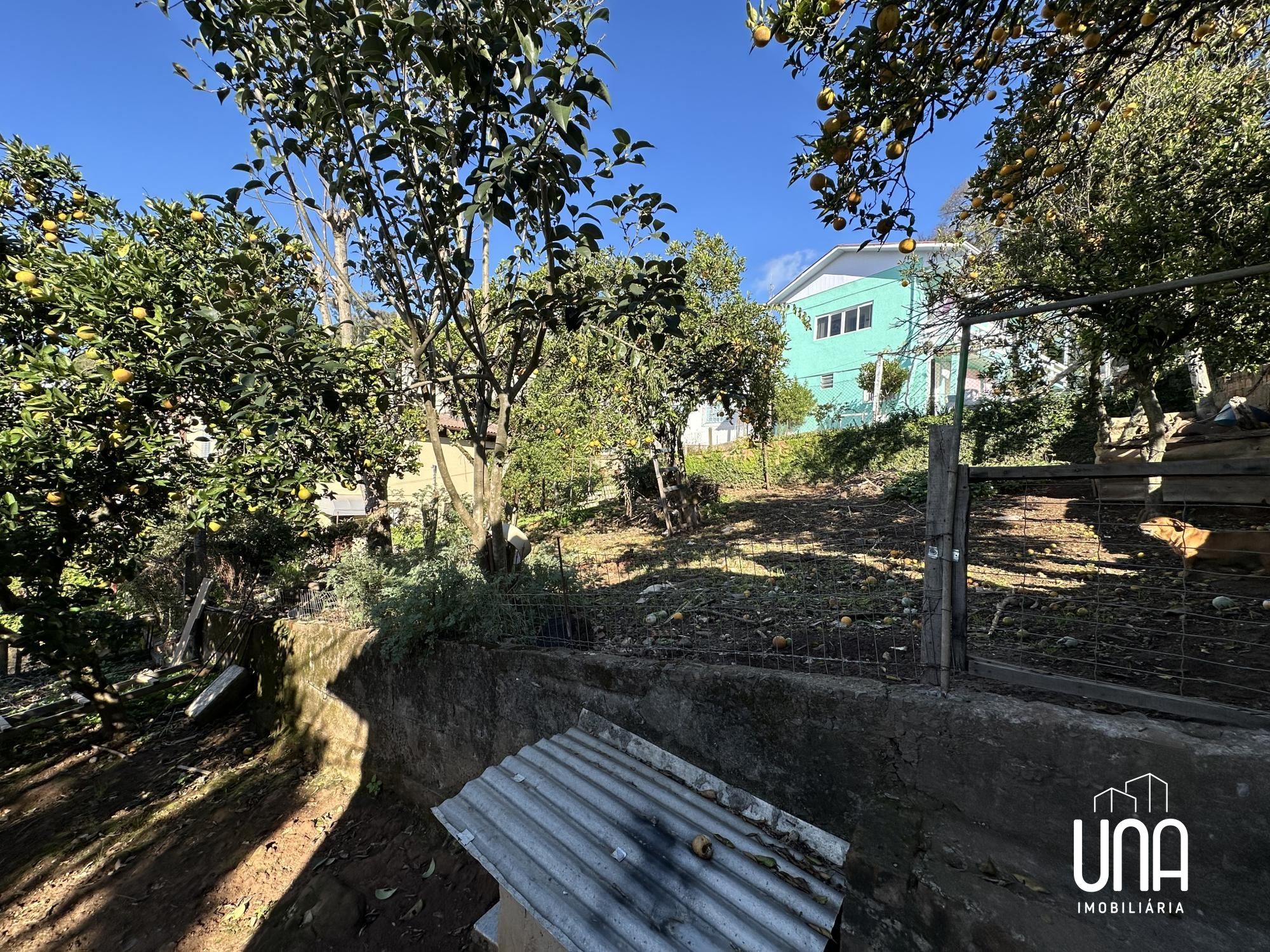 Casa, 8 quartos, 332 m² - Foto 6