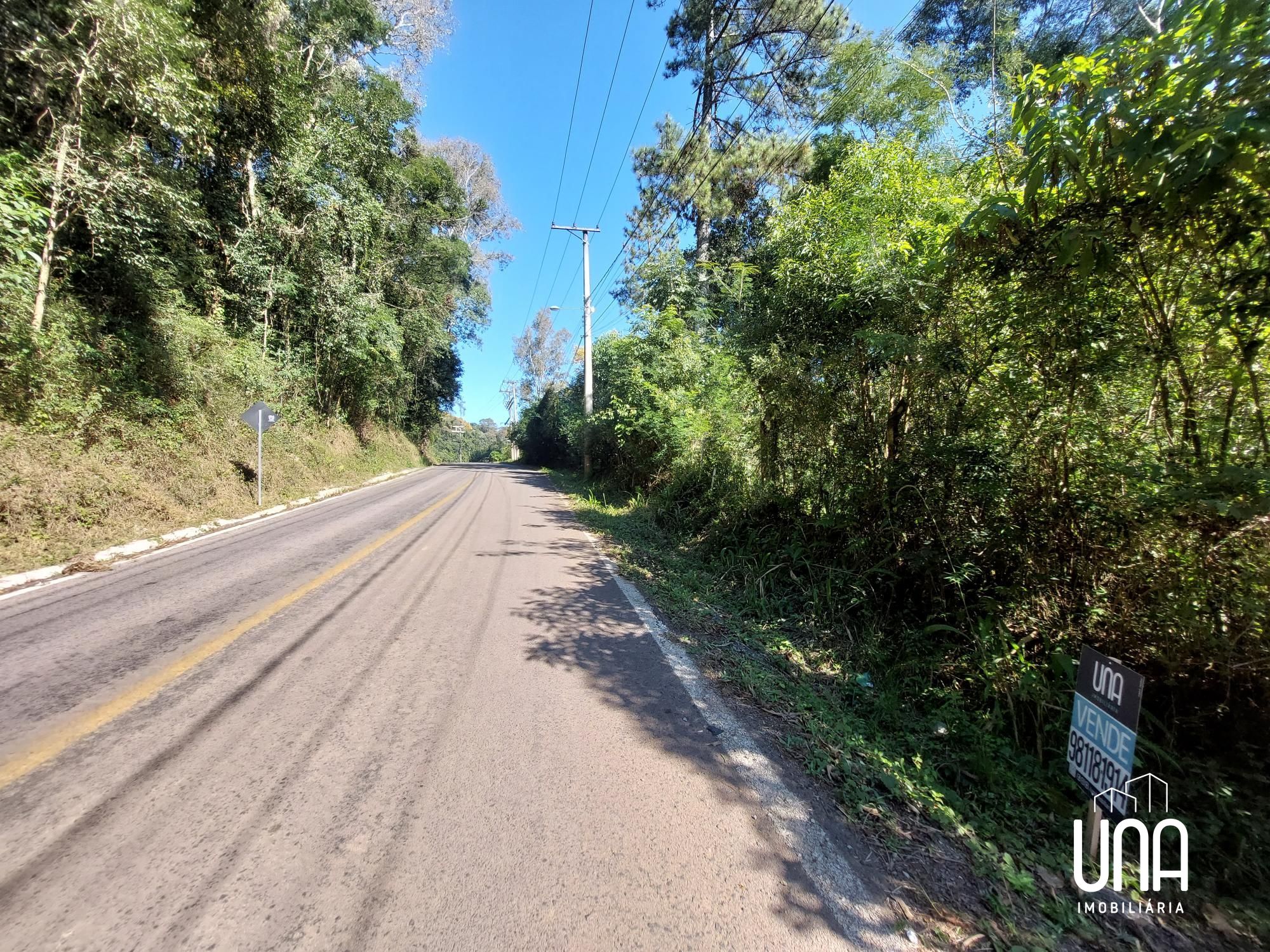 Terreno, 62 hectares - Foto 3