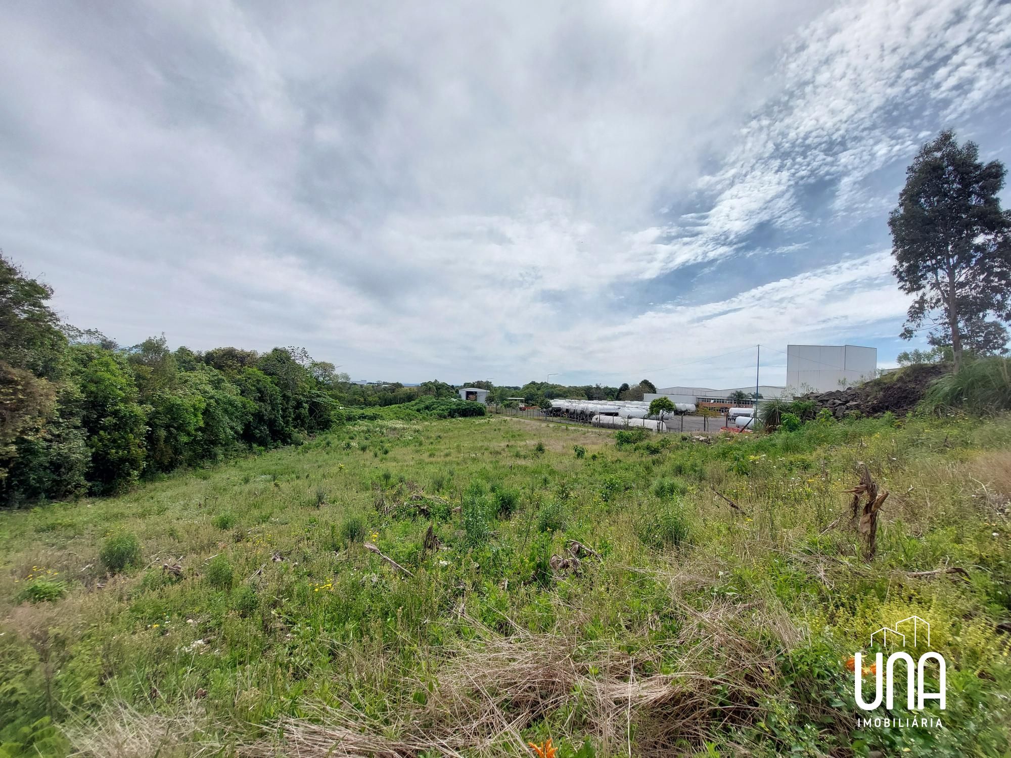 Terreno, 2863 m² - Foto 3