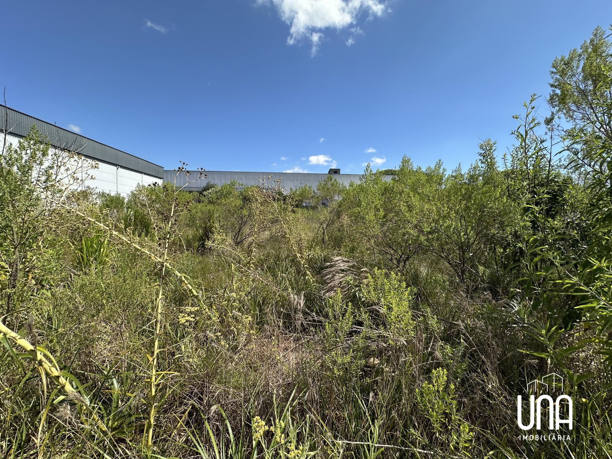 Terreno, 2153 m² - Foto 4