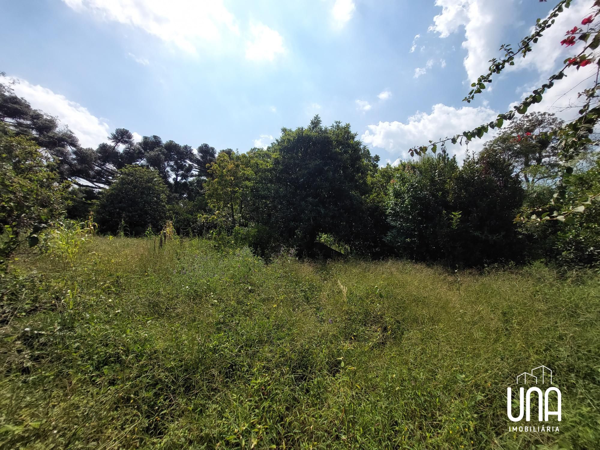 Terreno, 6645 m² - Foto 14