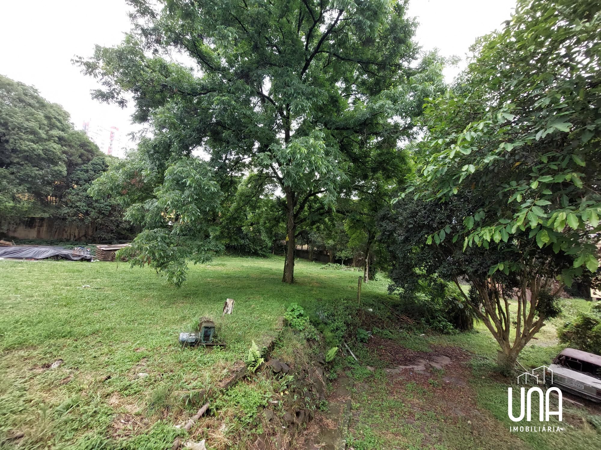 Terreno, 2295 m² - Foto 3