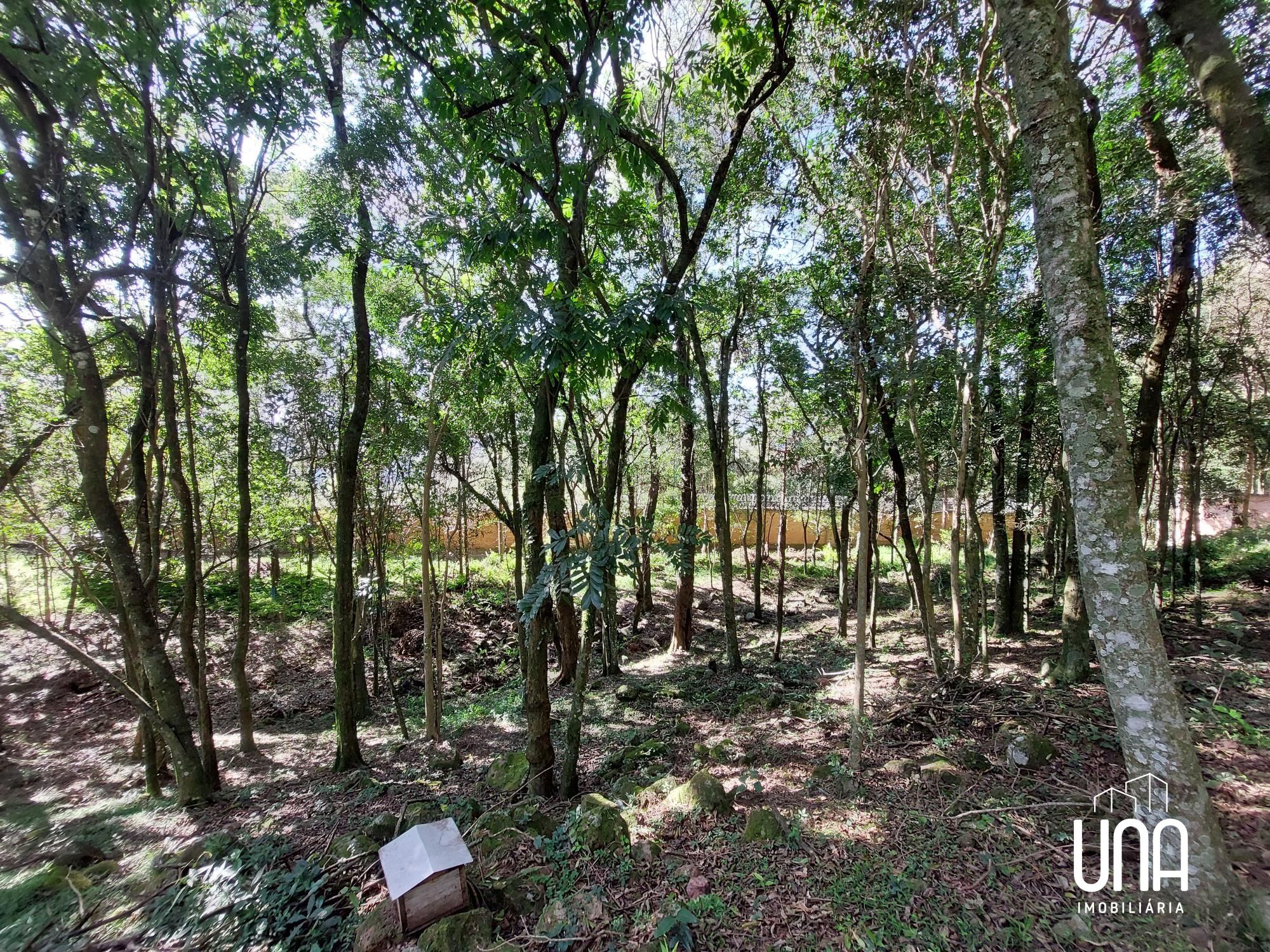 Terreno, 2071 m² - Foto 4