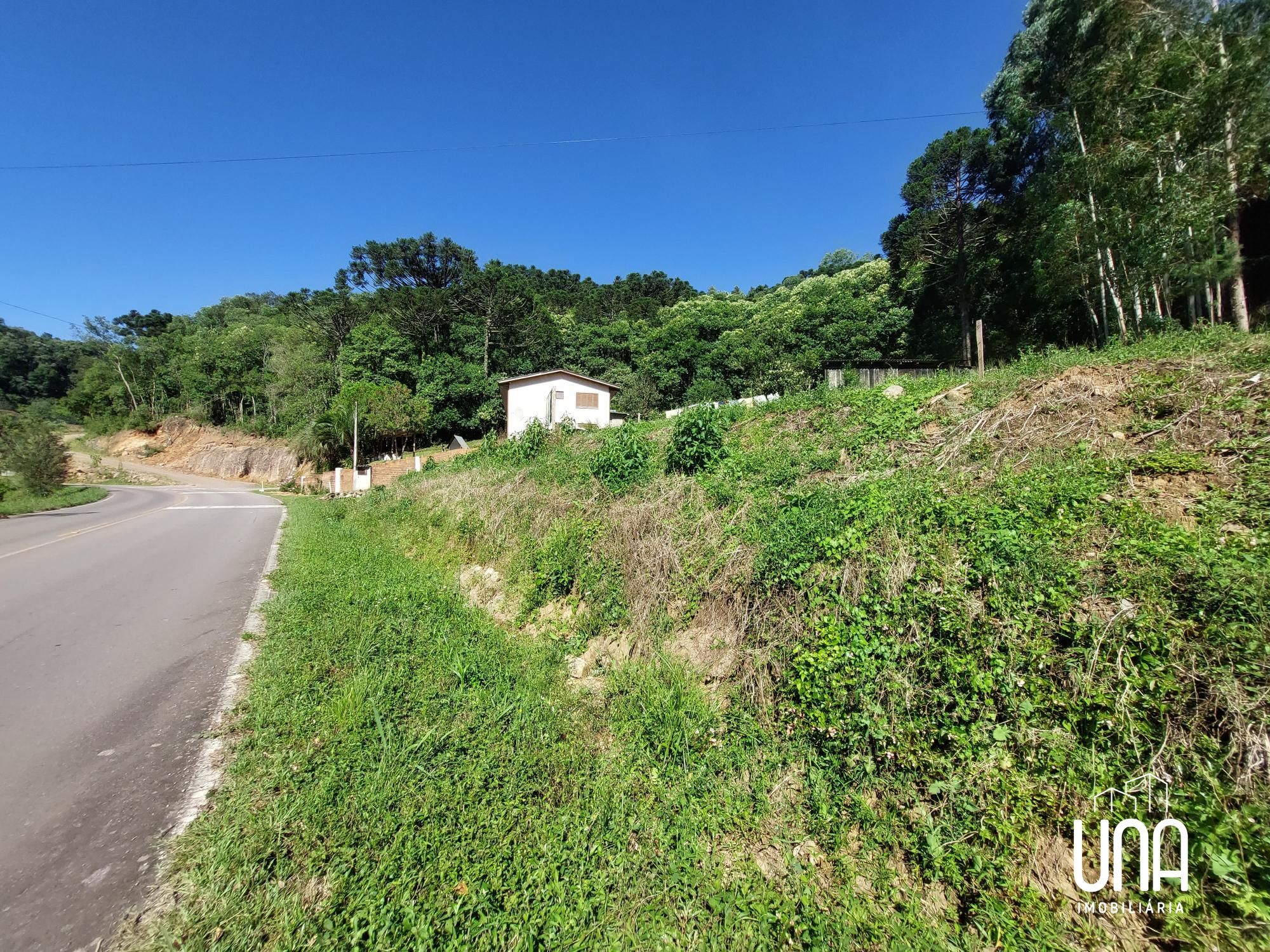 Chácara, 4 hectares - Foto 4