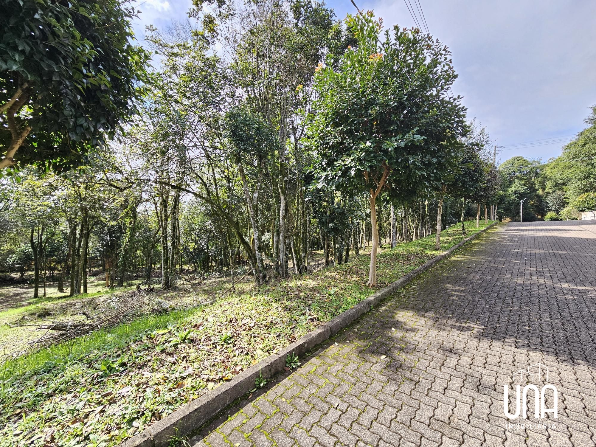 Terreno, 2283 m² - Foto 3