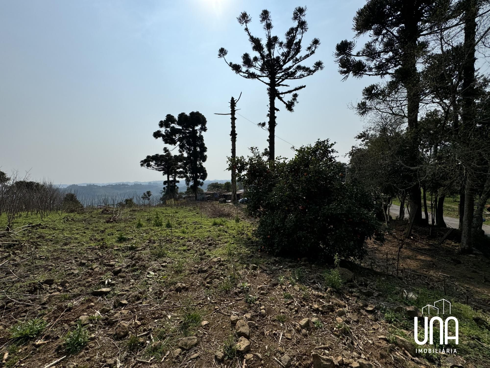 Terreno, 525 m² - Foto 2