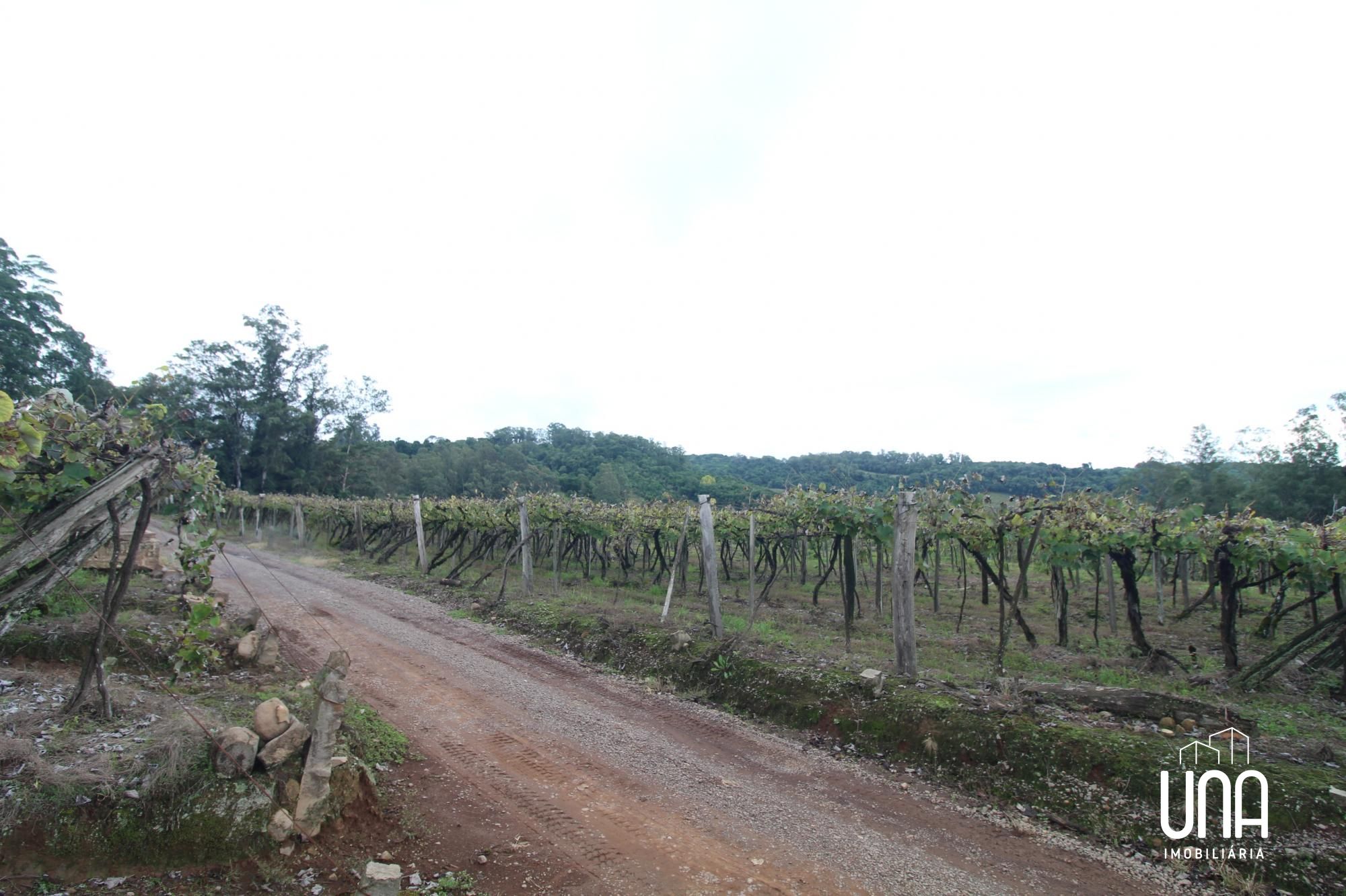 Chácara, 5 hectares - Foto 7