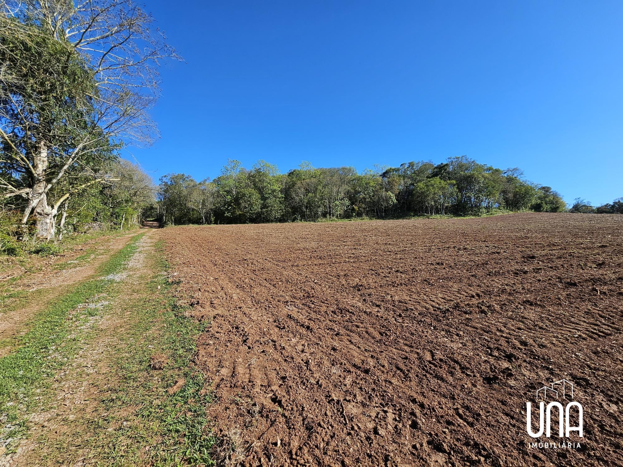 Sítio, 5 hectares - Foto 13