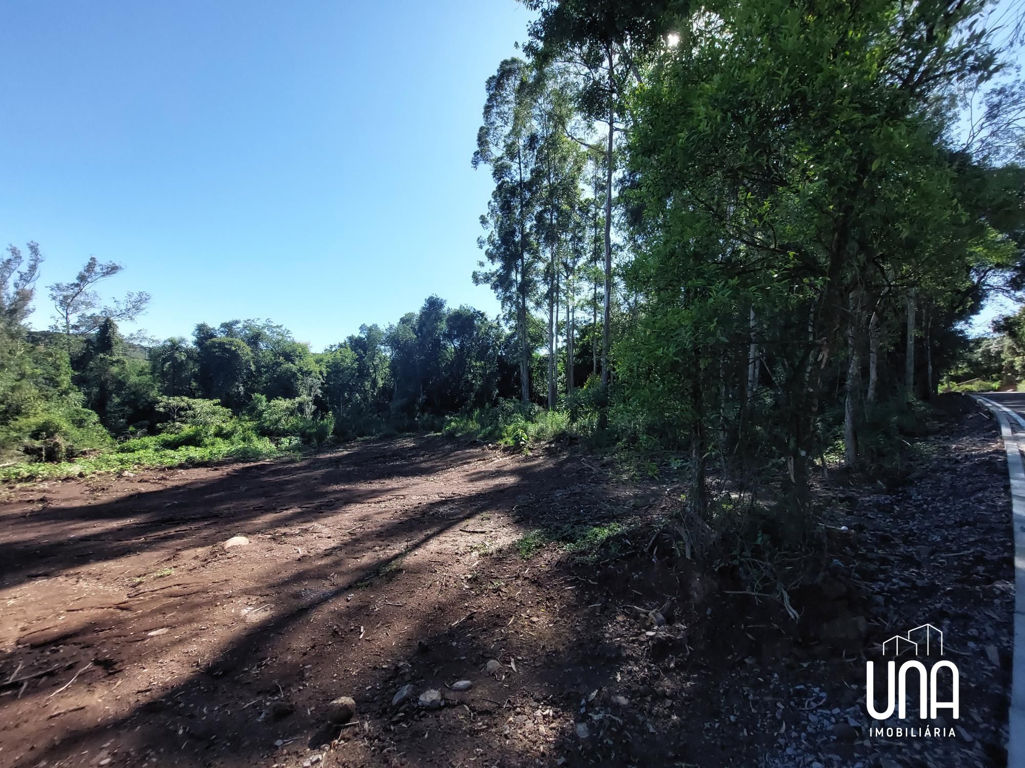Chácara, 3 hectares - Foto 7