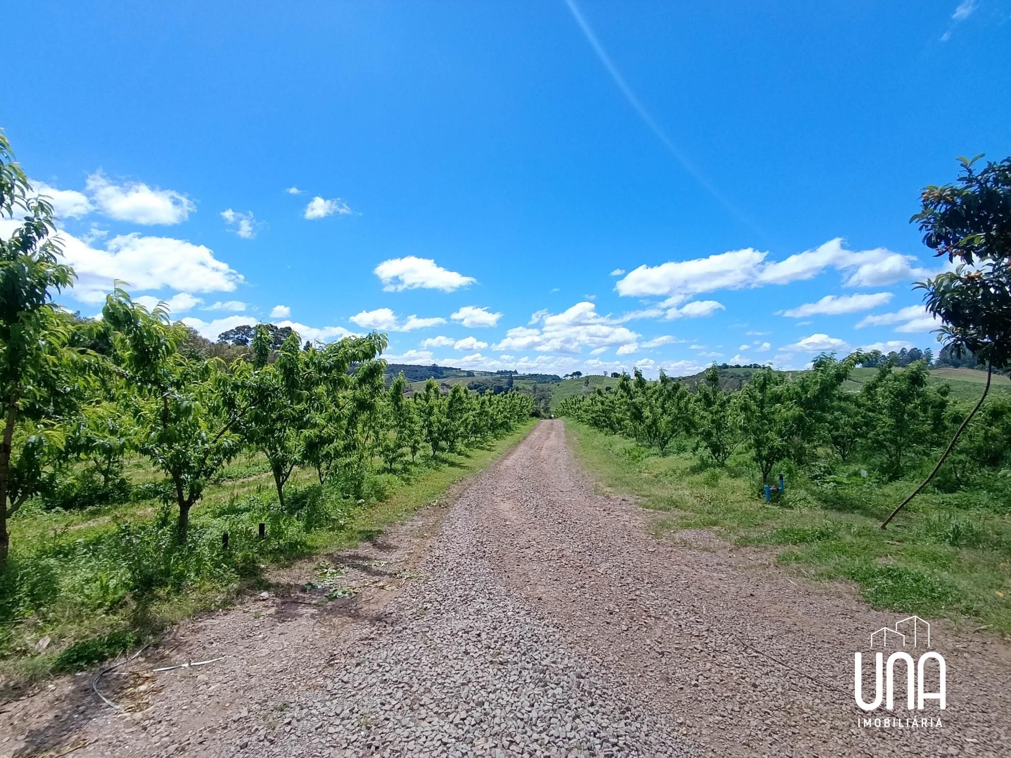 Chácara, 2 hectares - Foto 12