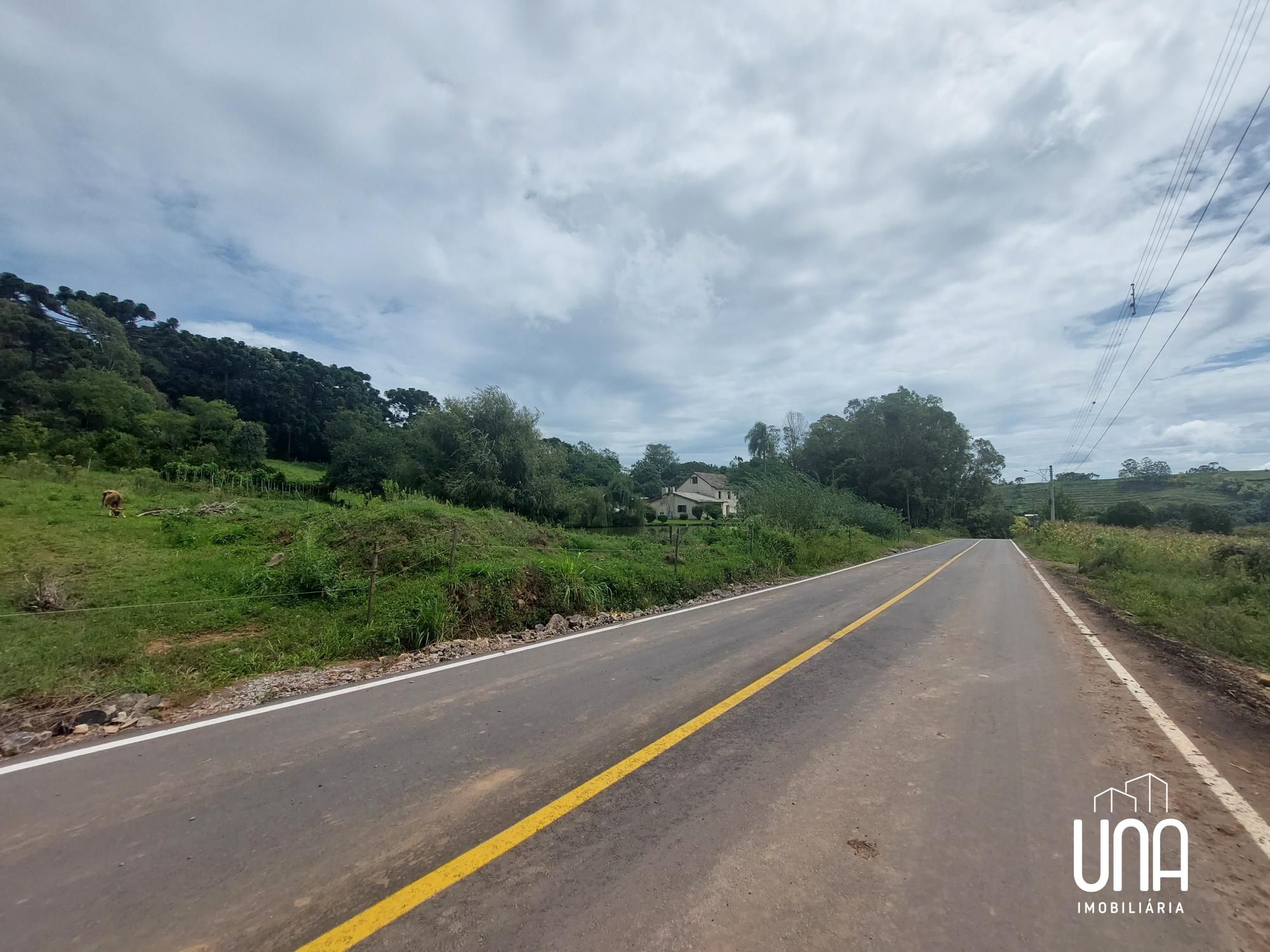 Terreno, 3600 m² - Foto 4