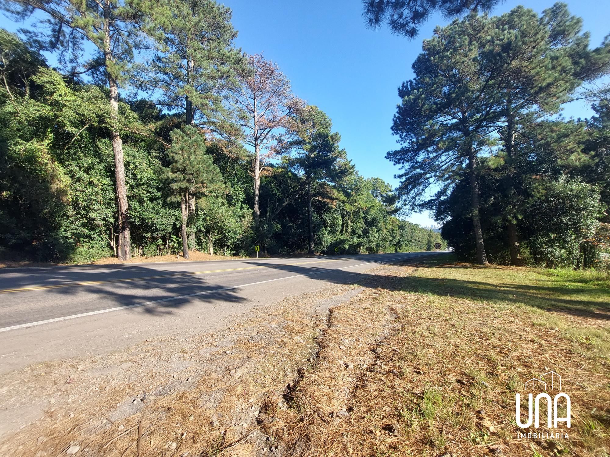 Terreno, 3 hectares - Foto 3