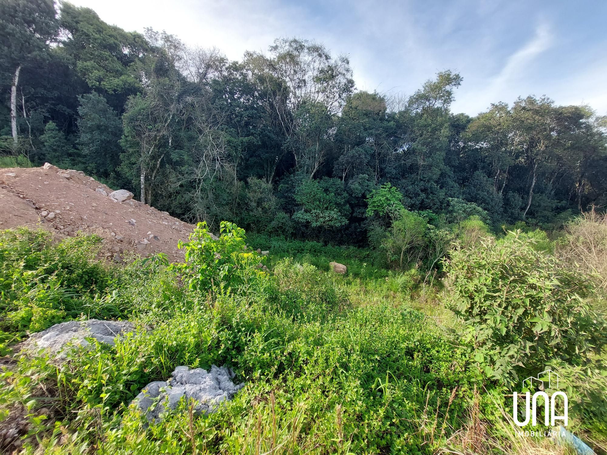 Terreno, 272 m² - Foto 3