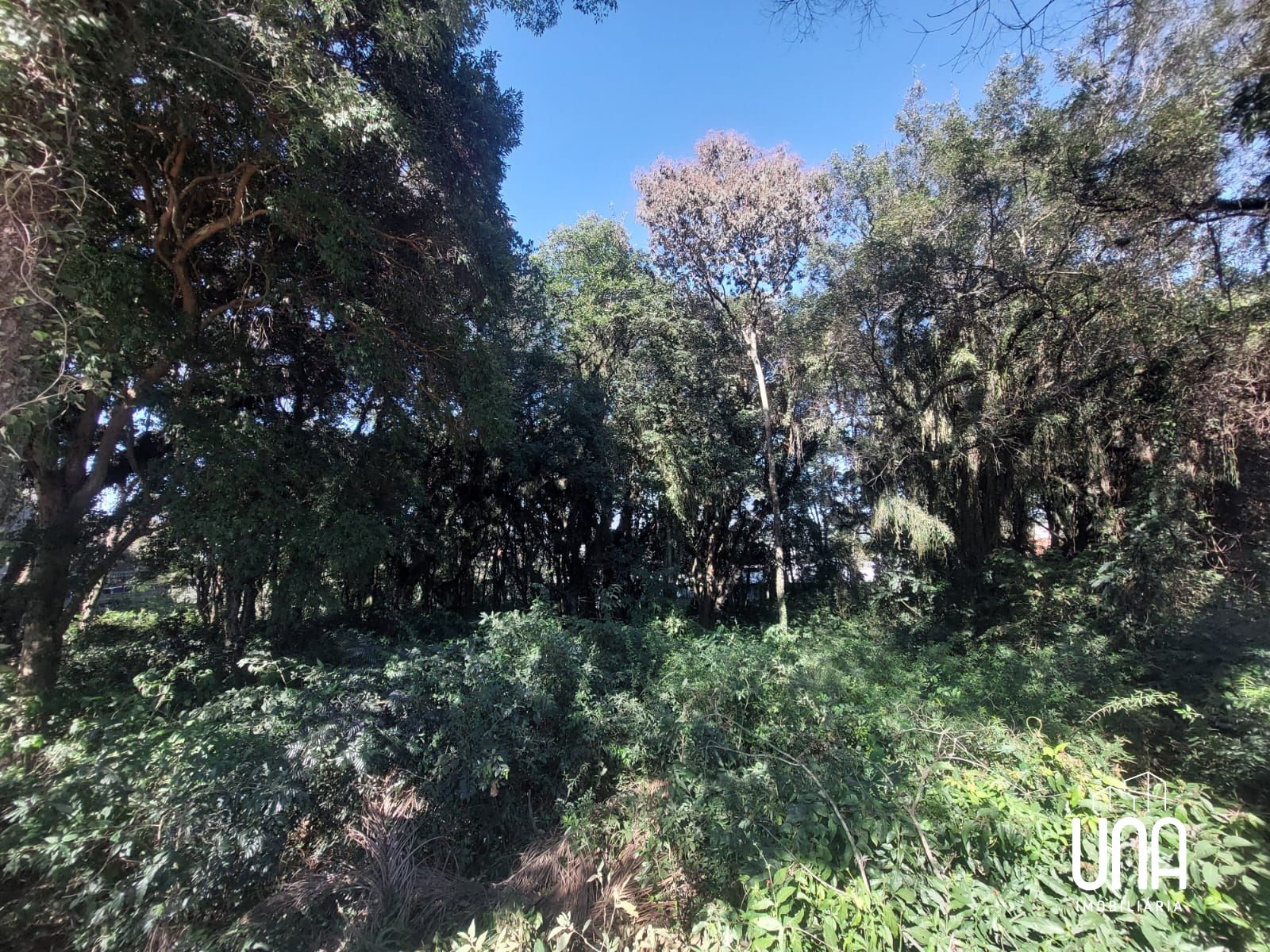Terreno, 736 m² - Foto 4
