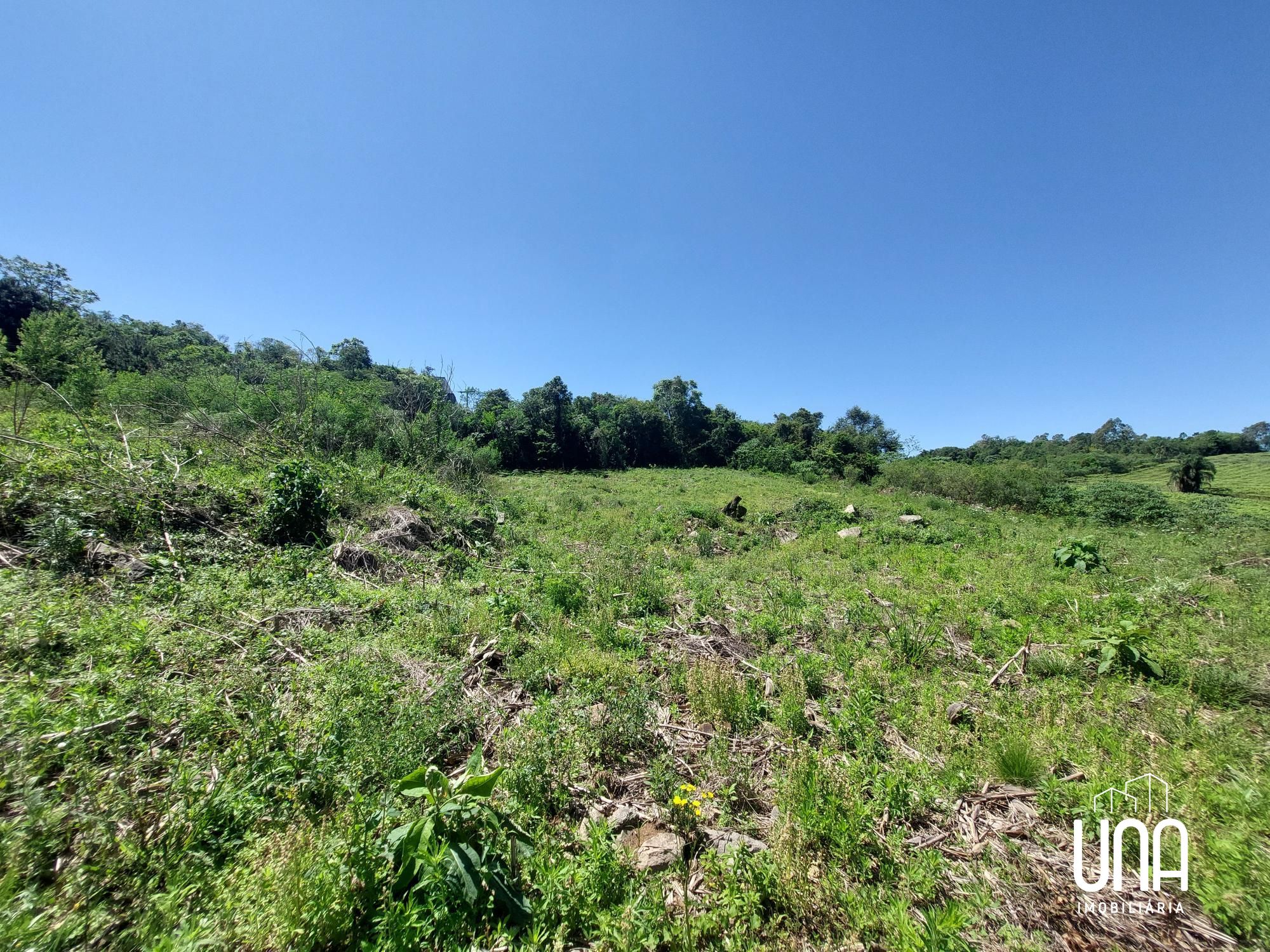 Terreno, 2250 m² - Foto 4