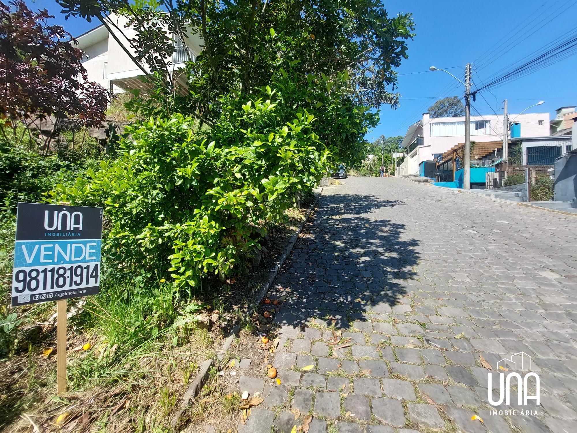 Terreno, 603 m² - Foto 3