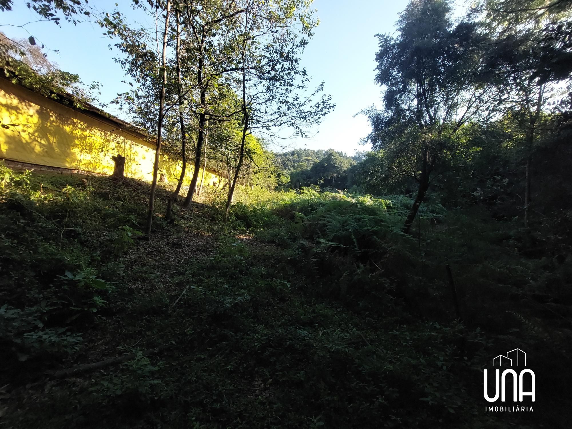 Chácara, 4 hectares - Foto 6