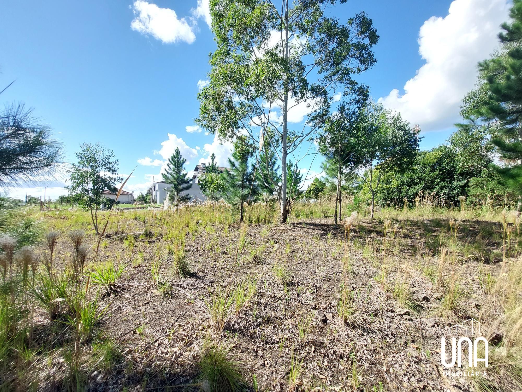Terreno, 565 m² - Foto 4