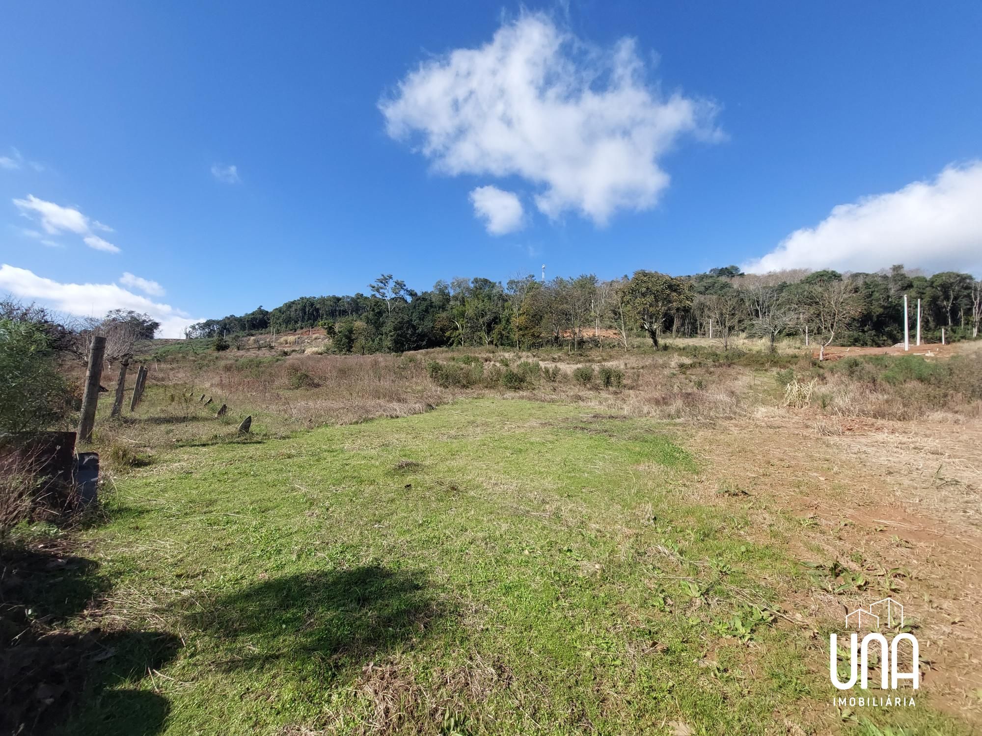 Terreno, 2 hectares - Foto 3
