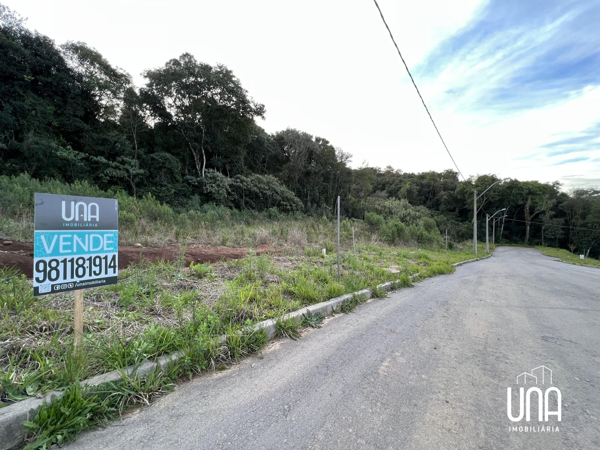 Terreno - Foto 4