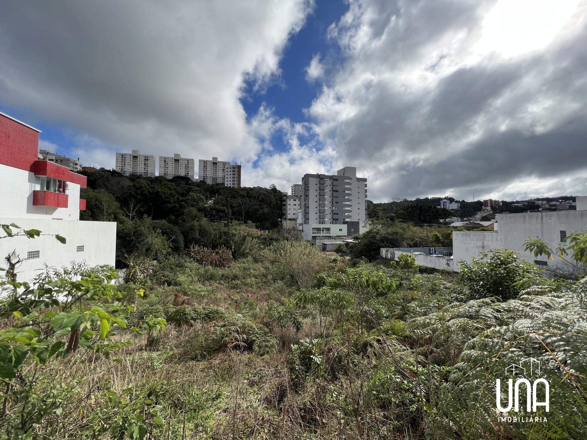 Terreno, 1341 m² - Foto 3