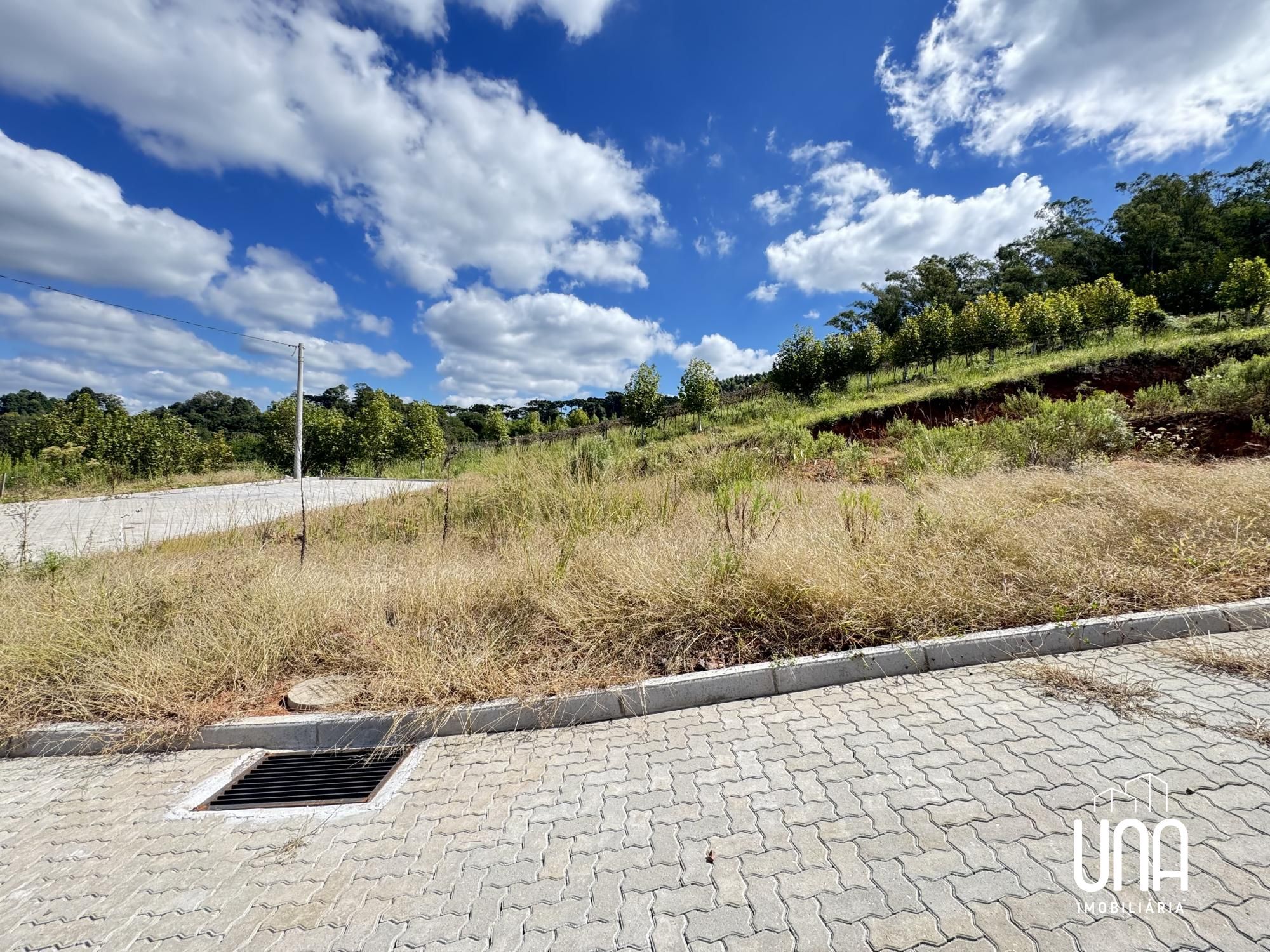 Terreno, 246 m² - Foto 14