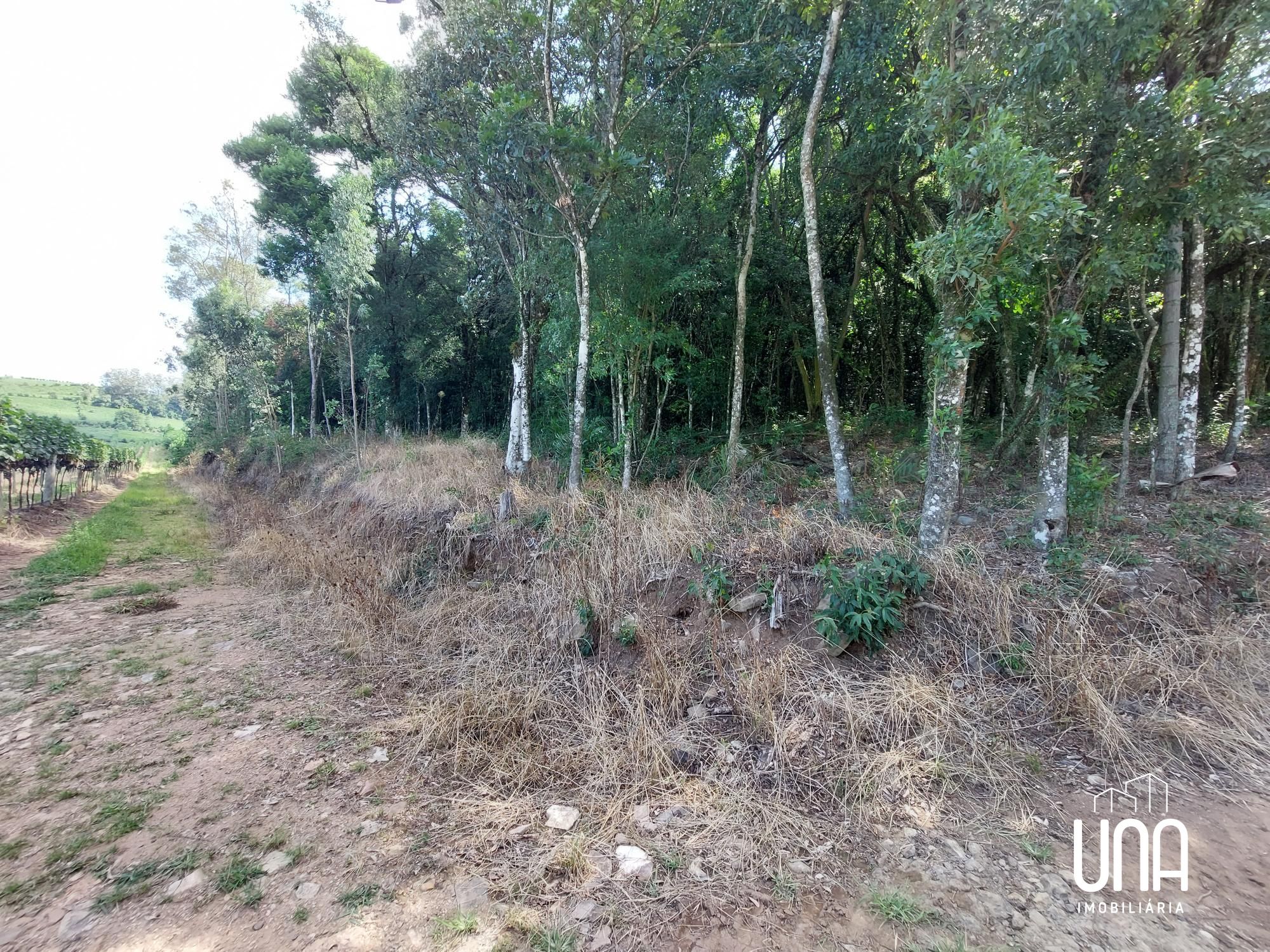 Chácara, 2 hectares - Foto 11