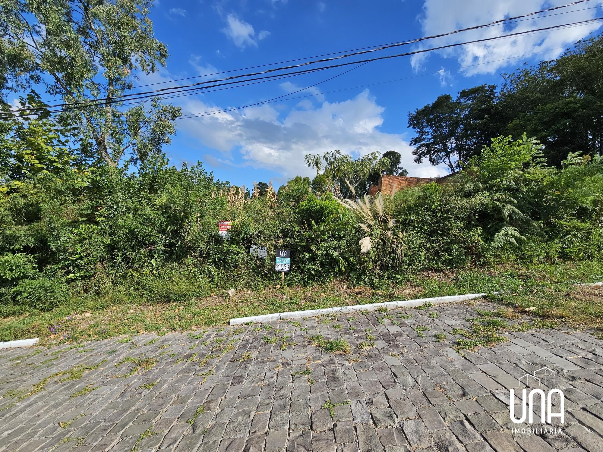 Terreno, 1155 m² - Foto 2