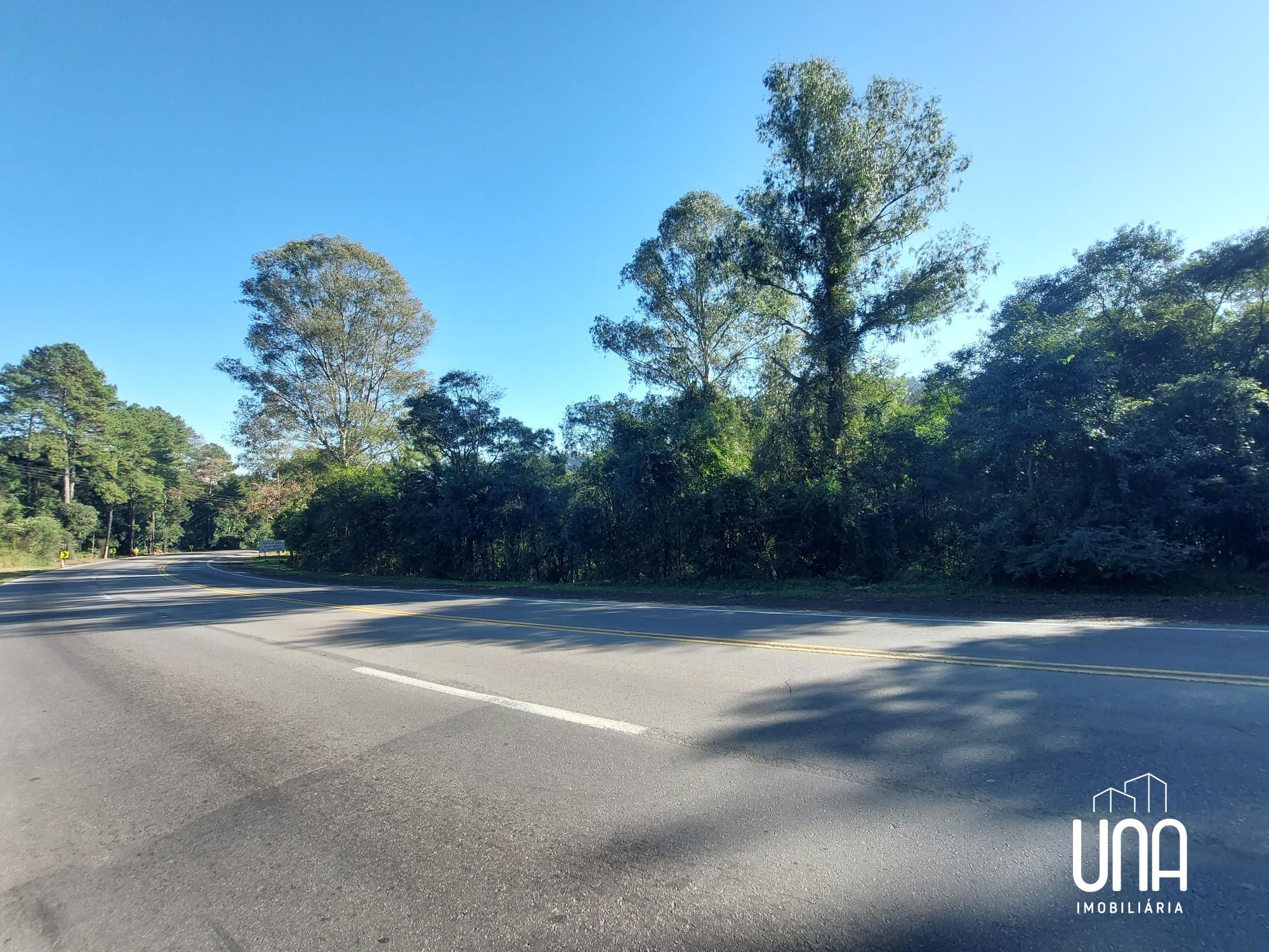 Terreno, 3 hectares - Foto 1