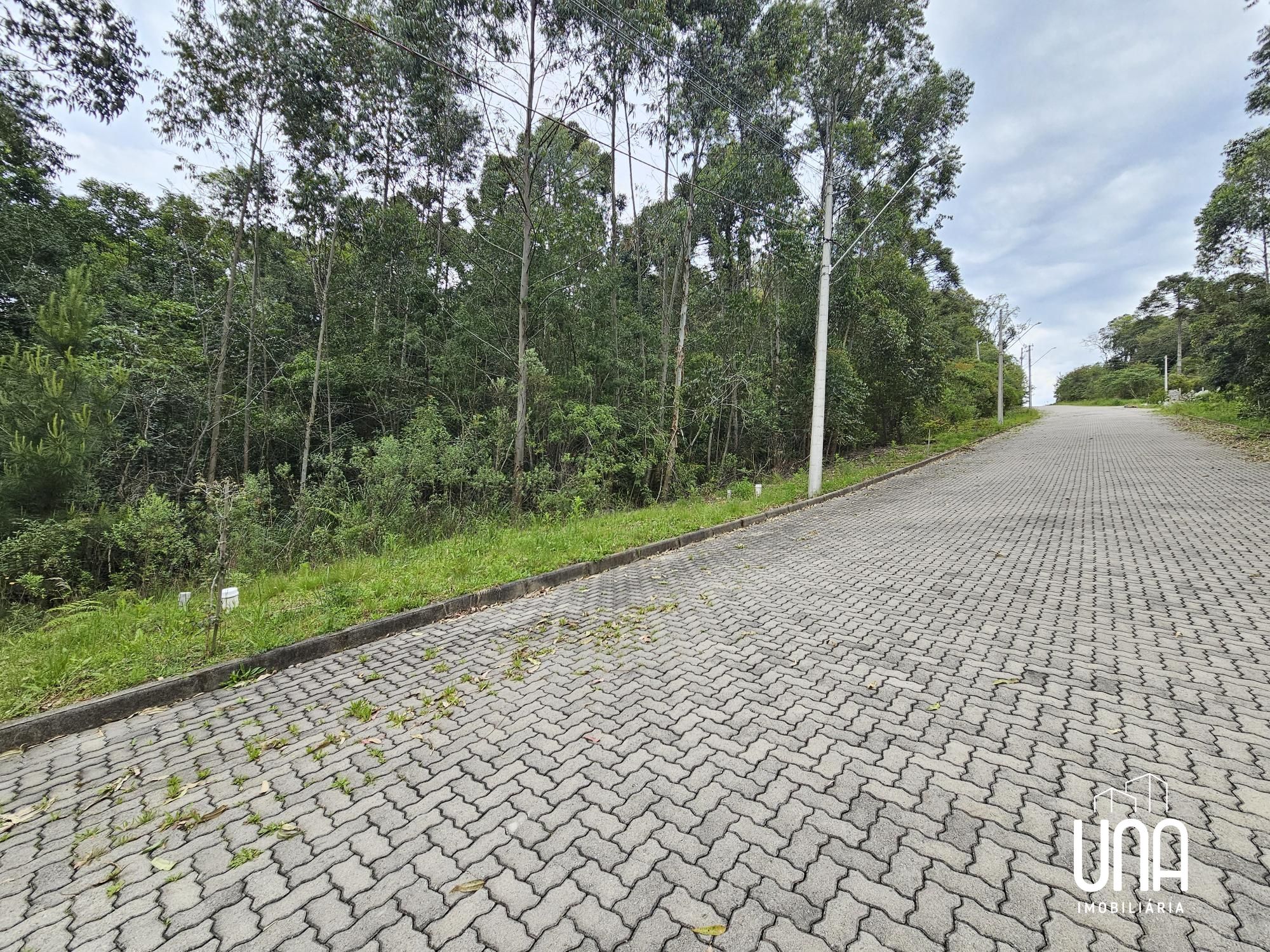 Terreno, 360 m² - Foto 3