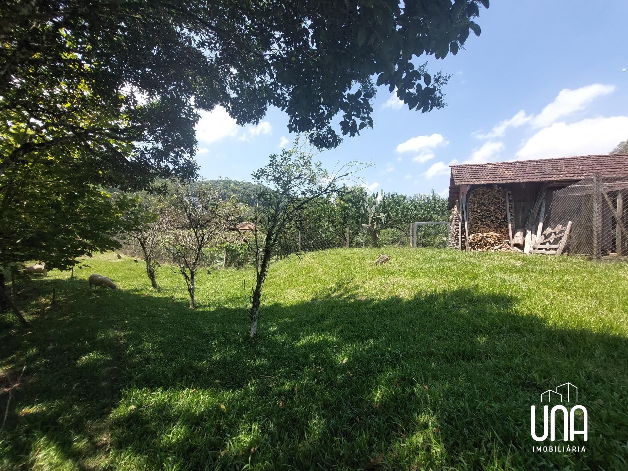 Chácara, 2 quartos, 2 hectares - Foto 21