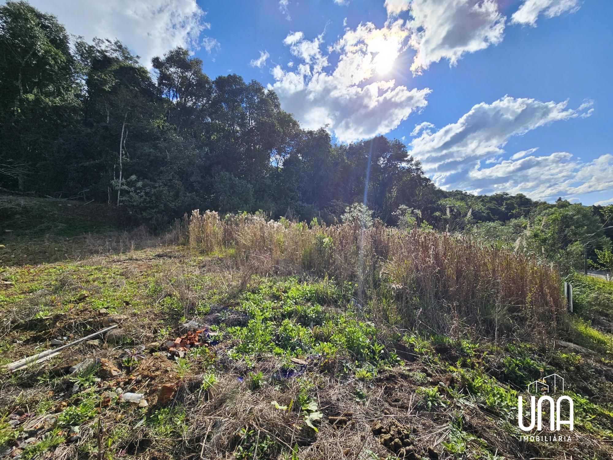 Terreno, 552 m² - Foto 5