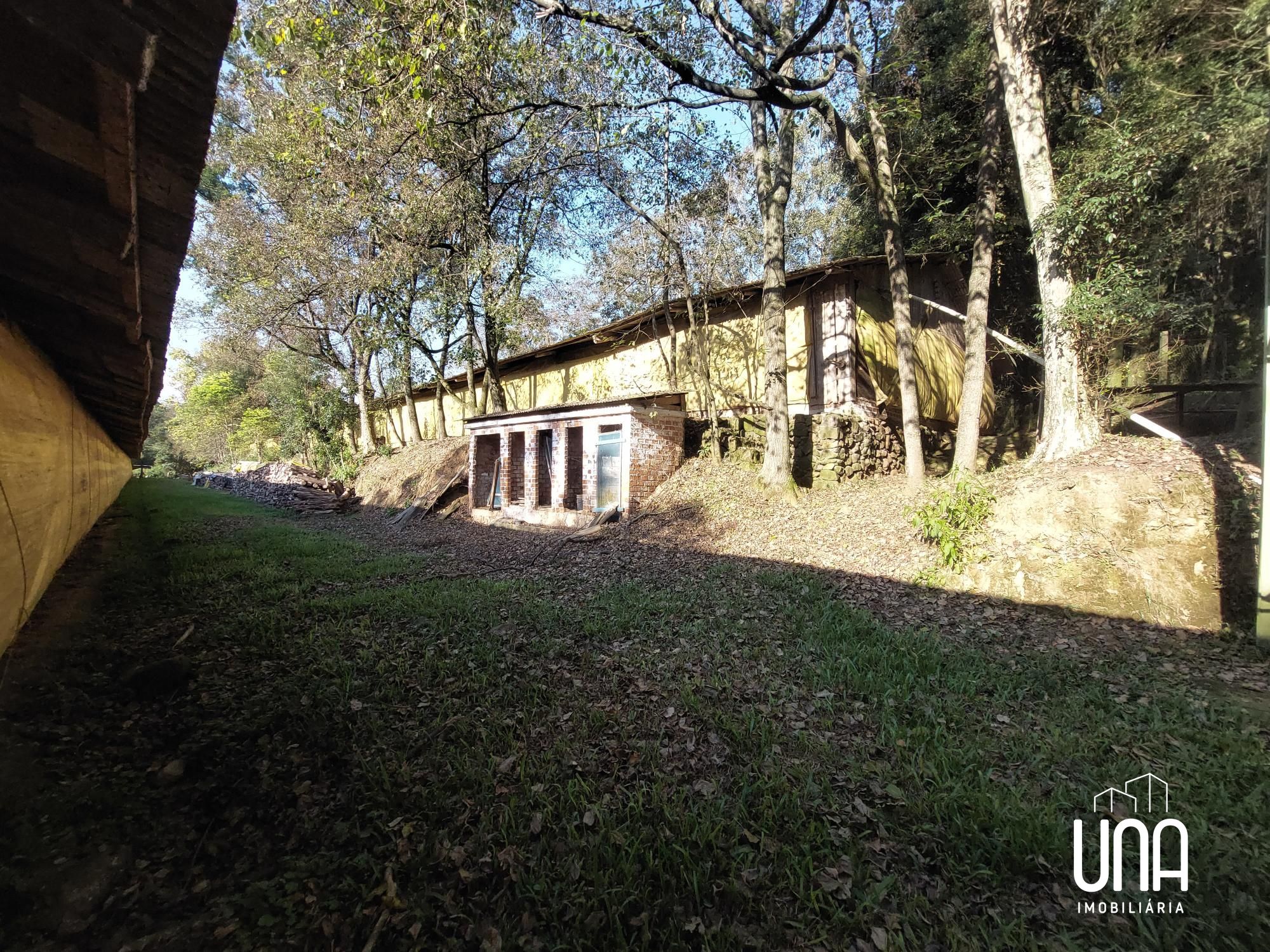 Chácara, 4 hectares - Foto 10