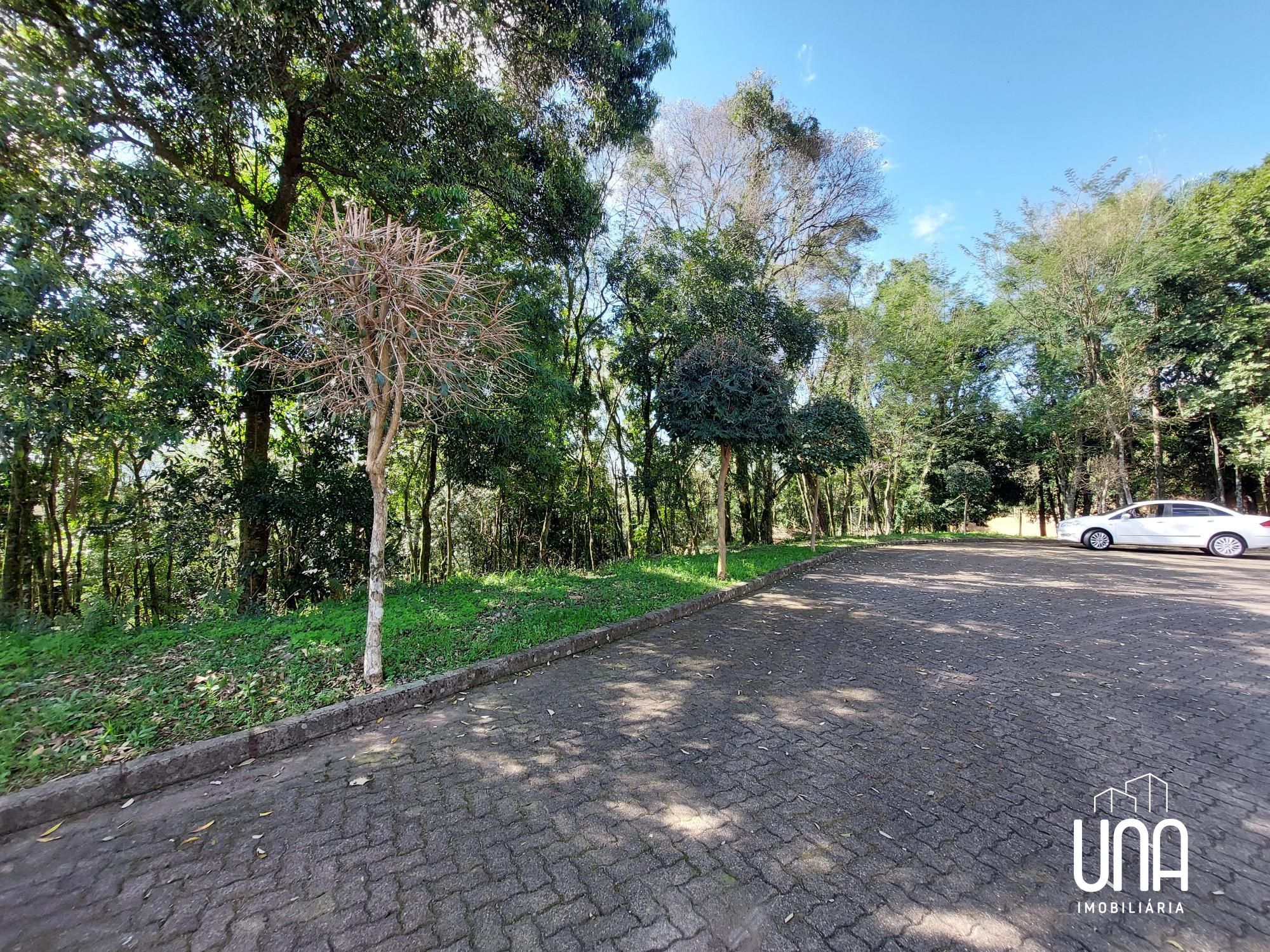 Terreno, 2071 m² - Foto 7