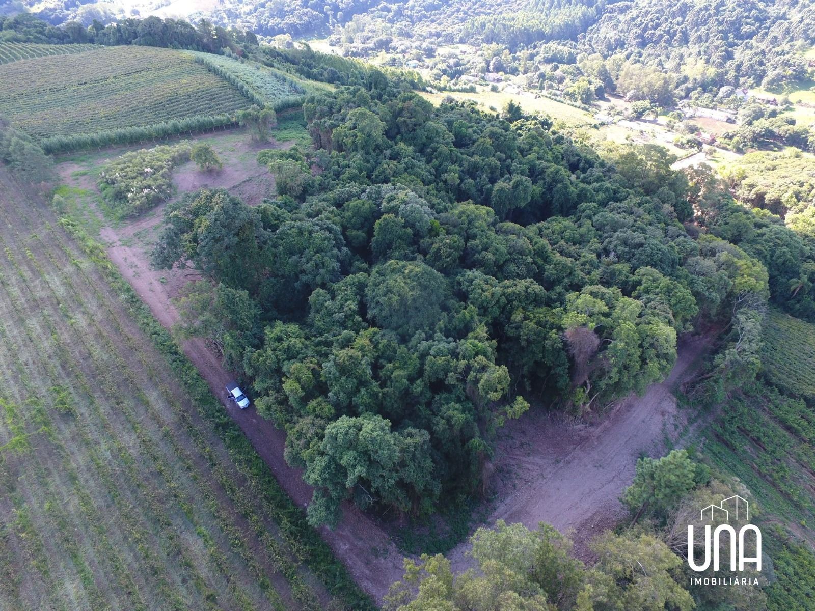 Chácara, 2 hectares - Foto 6