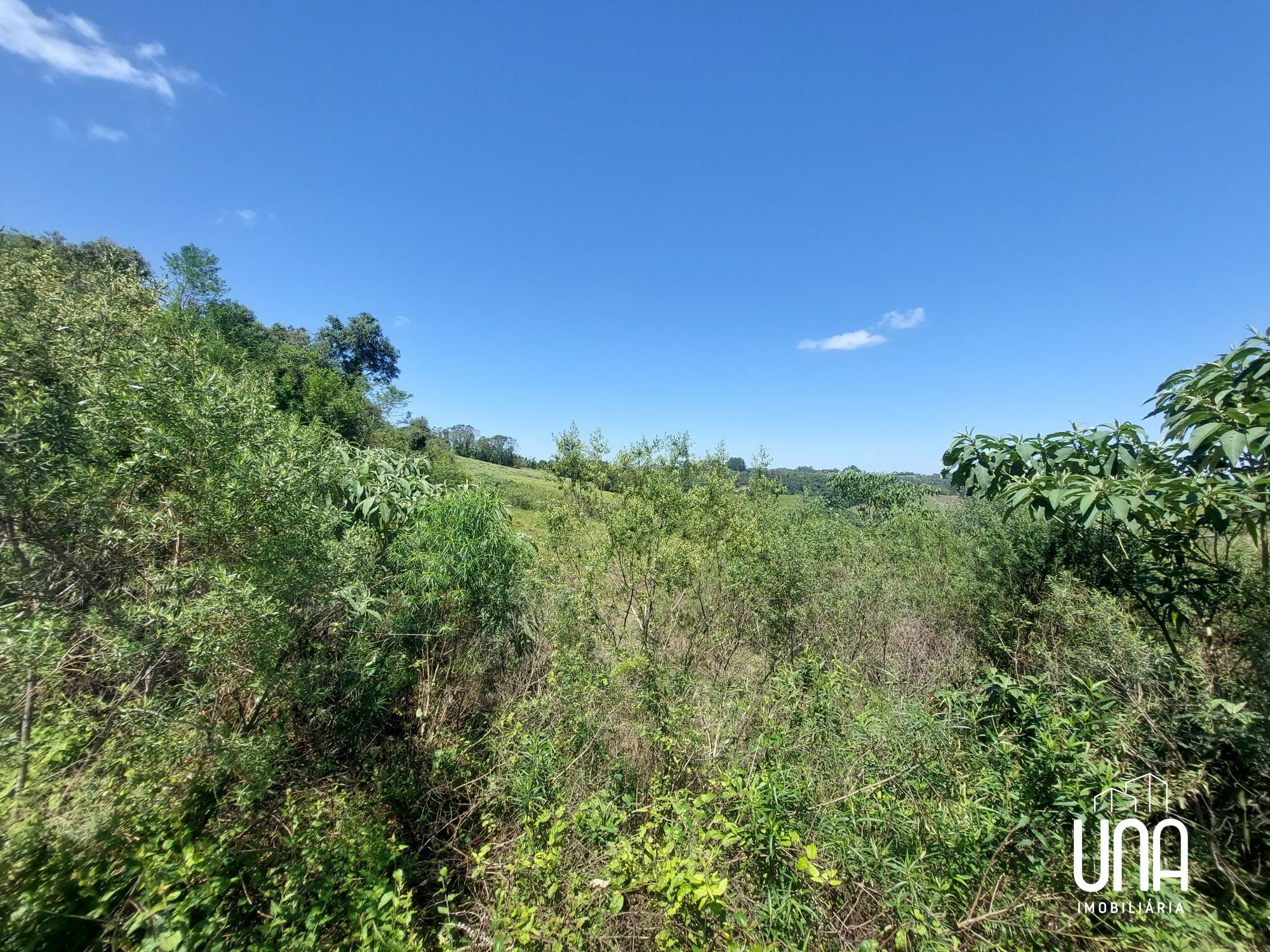Terreno, 2166 m² - Foto 4