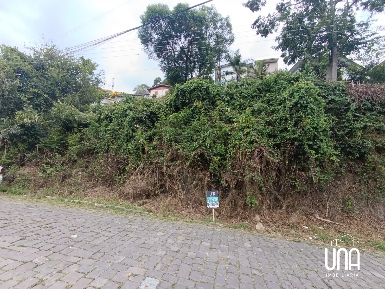 Terreno, 241 m² - Foto 1