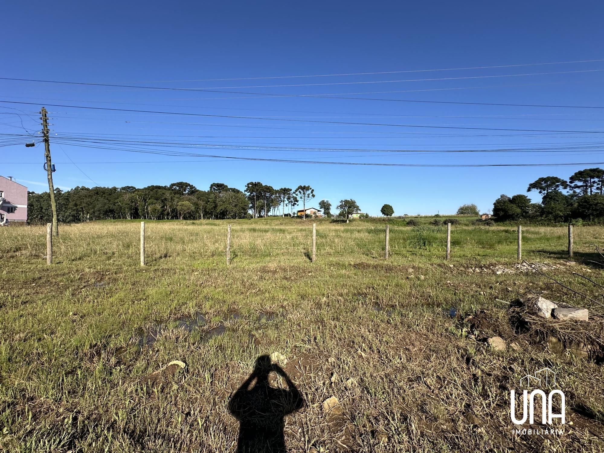 Terreno, 2 hectares - Foto 4