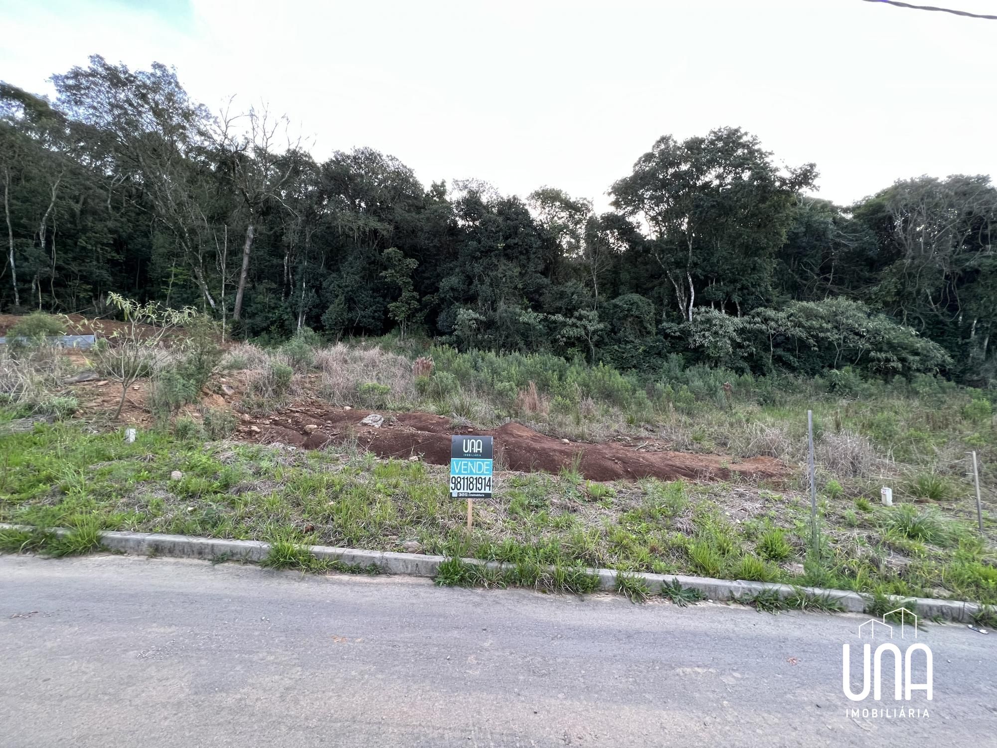 Terreno - Foto 3