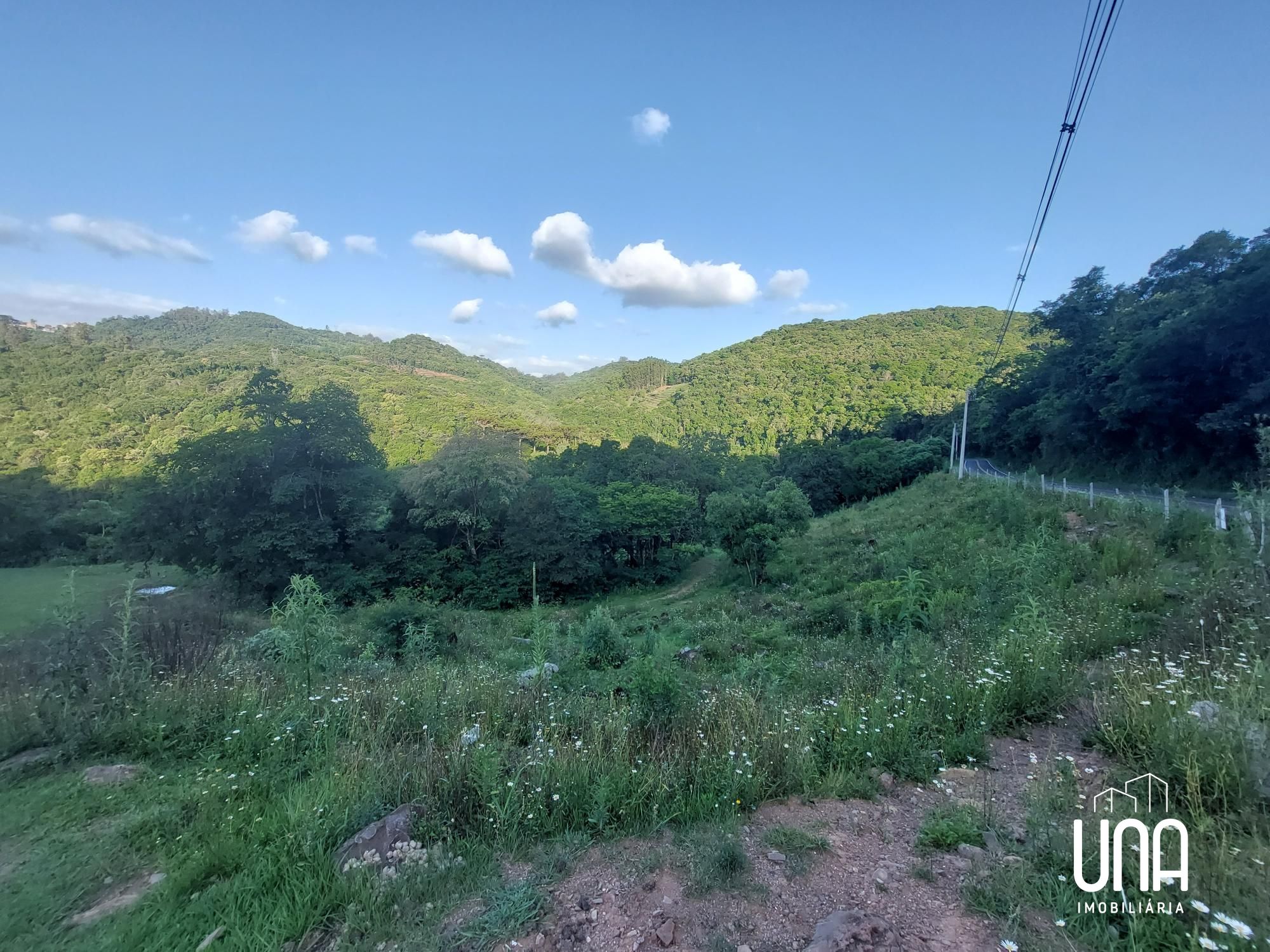 Chácara, 4 hectares - Foto 3