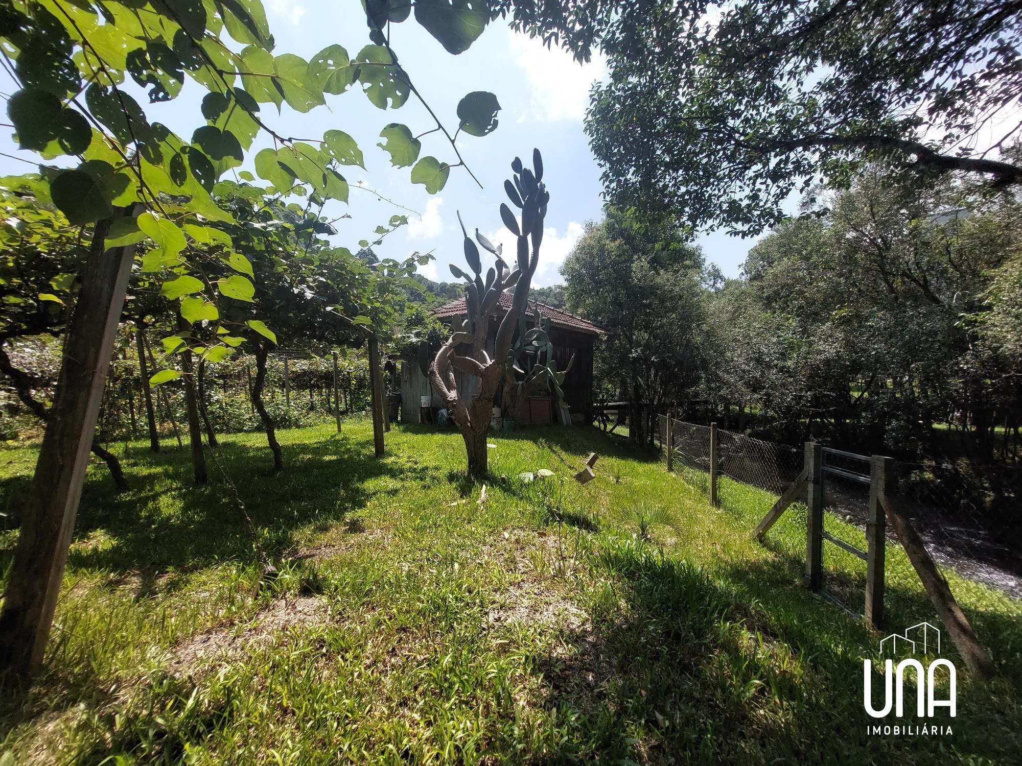 Chácara, 2 quartos, 2 hectares - Foto 15