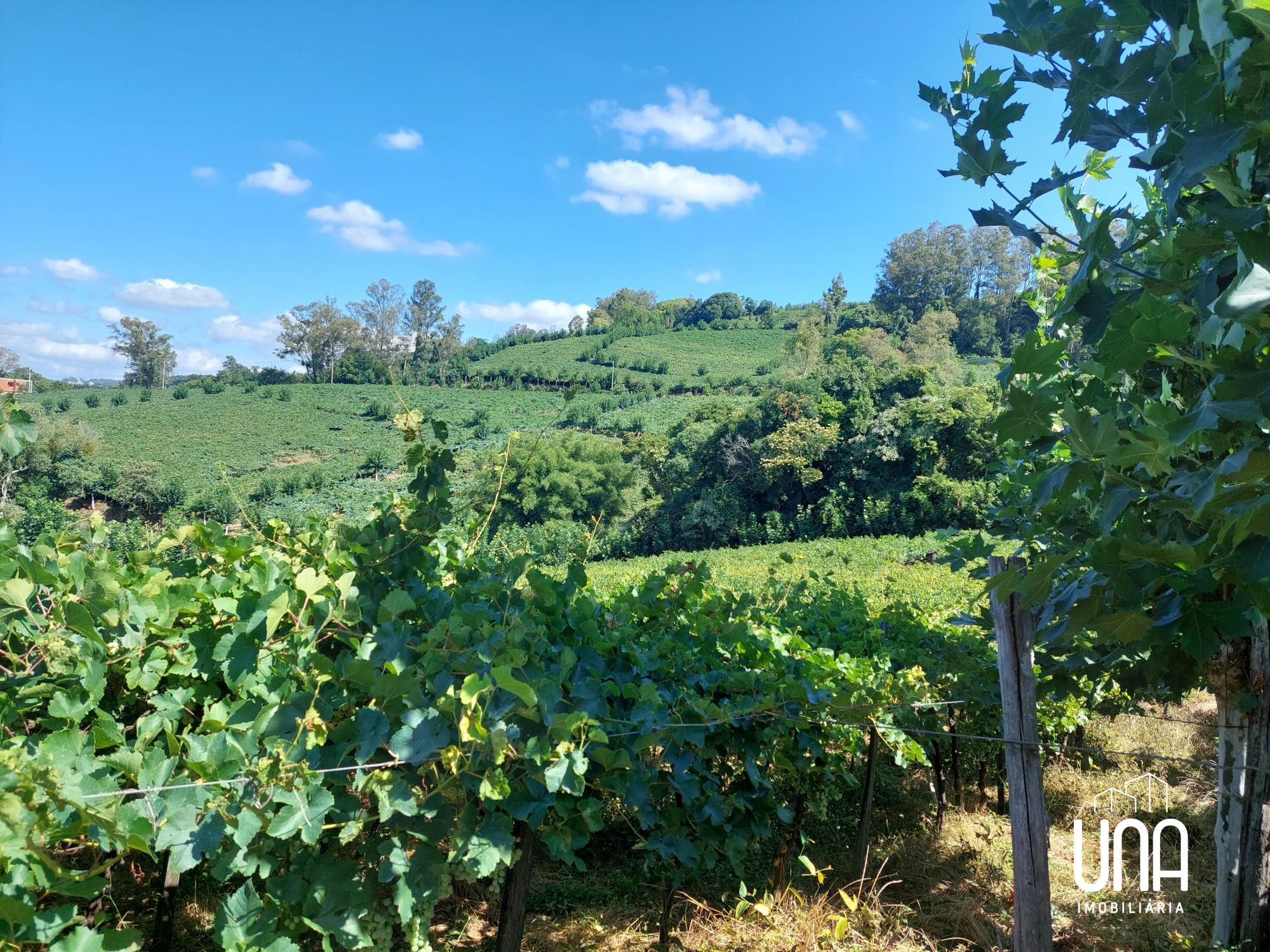 Chácara, 2 hectares - Foto 1
