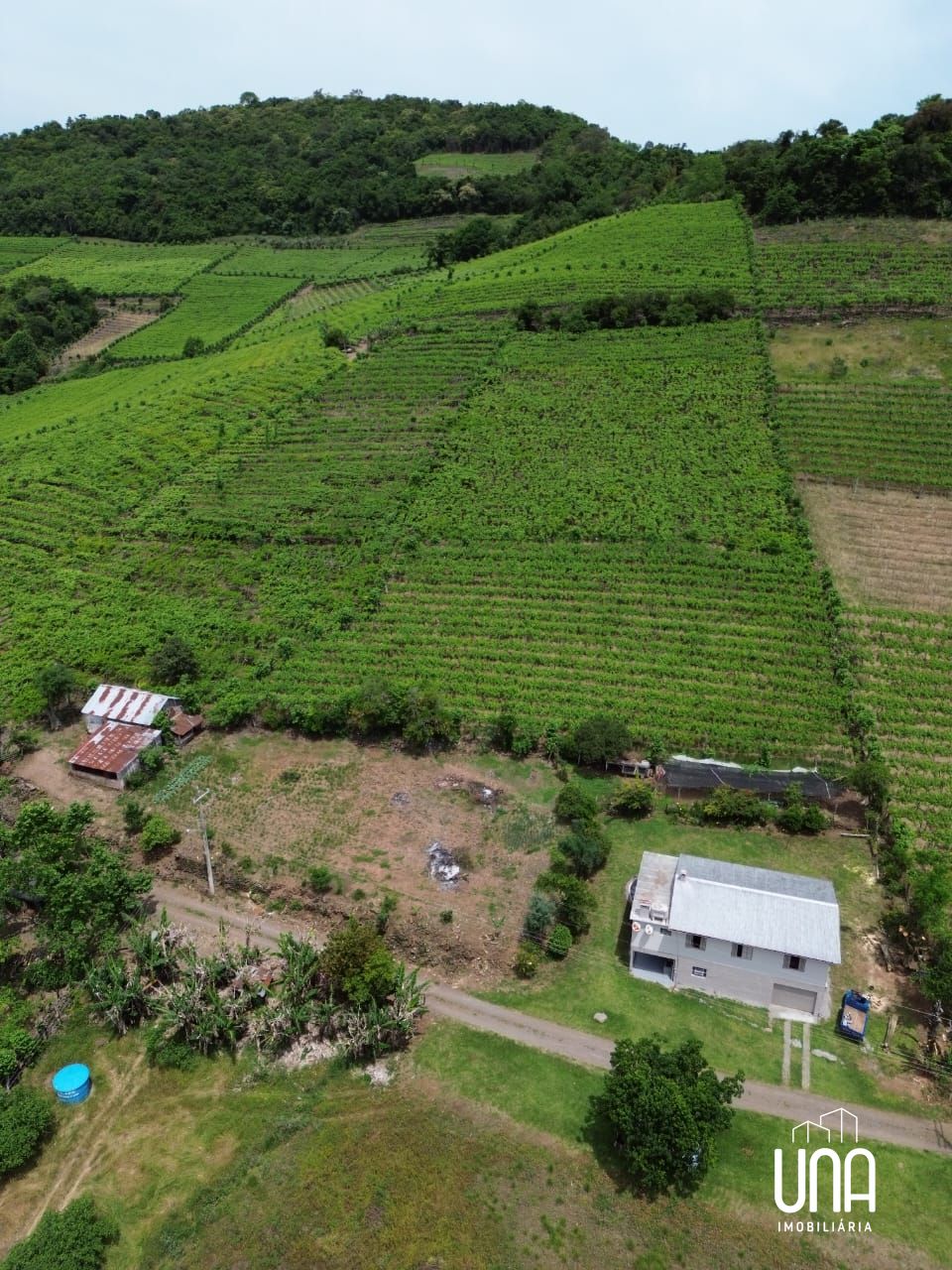 Sítio, 9 hectares - Foto 1