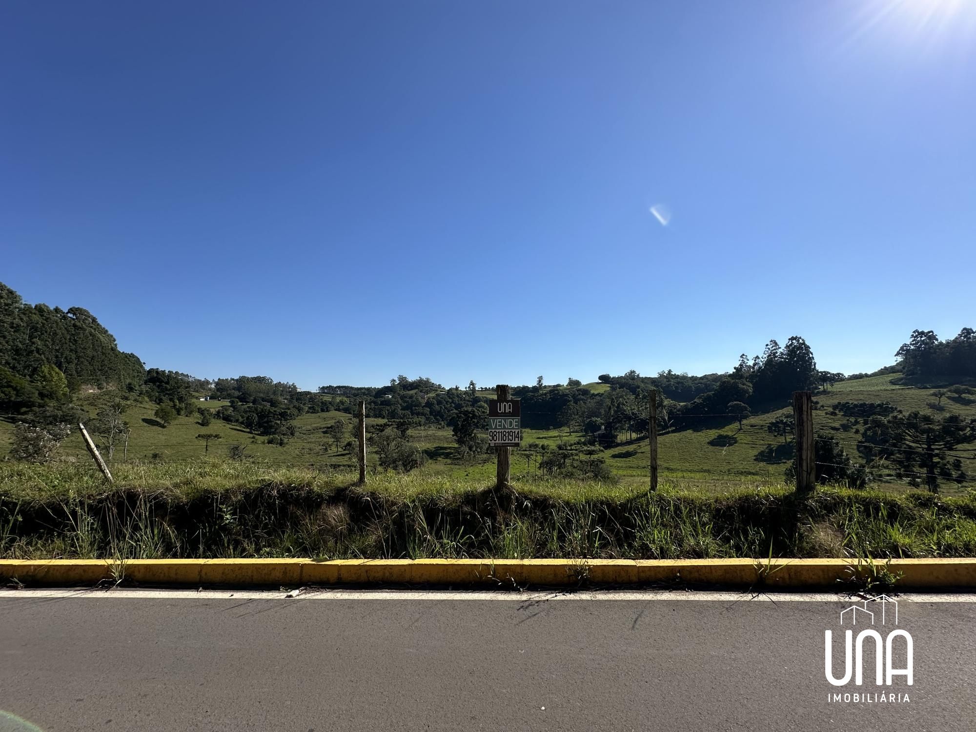 Sítio, 2 hectares - Foto 4