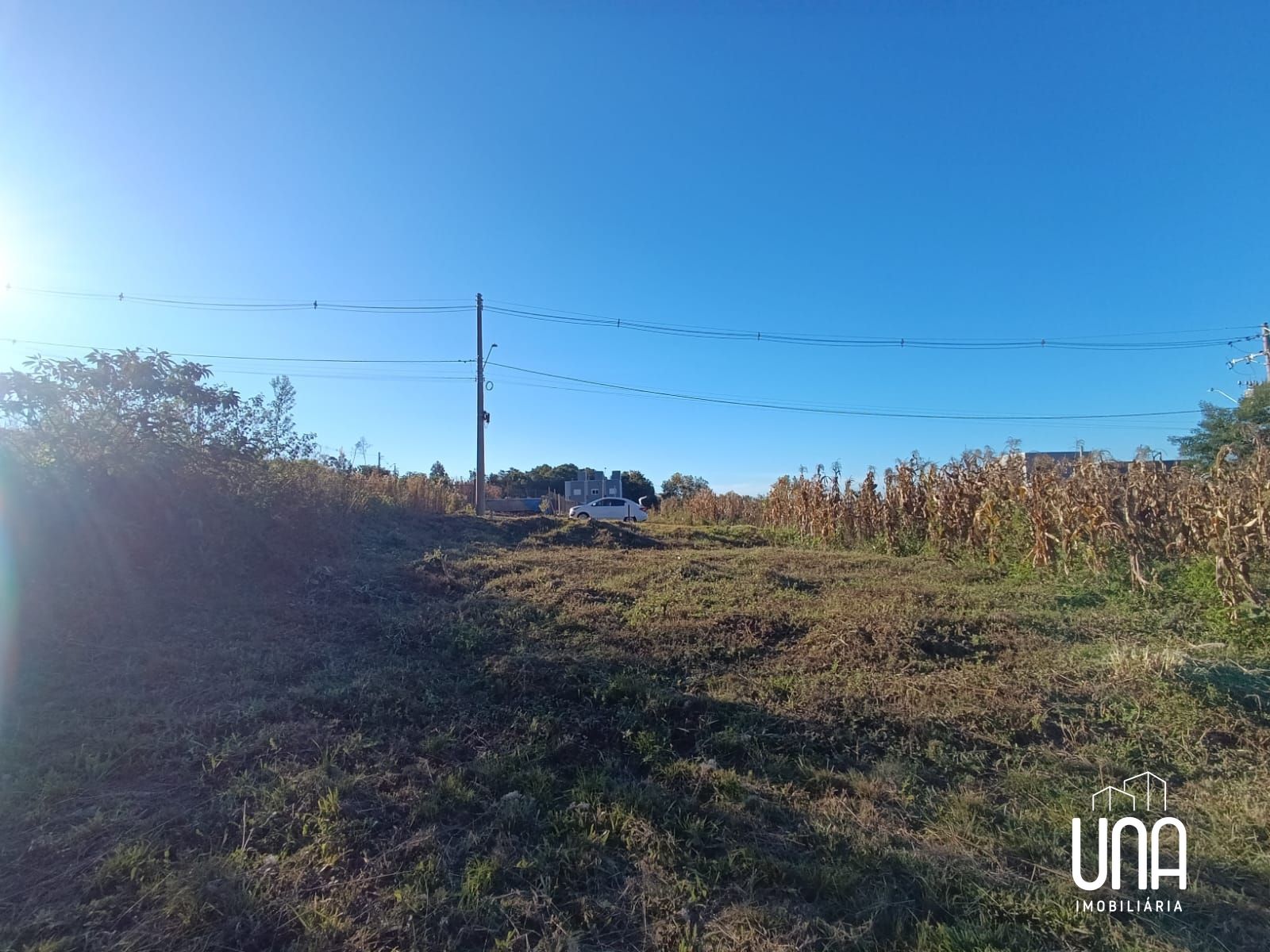 Terreno, 259 m² - Foto 3