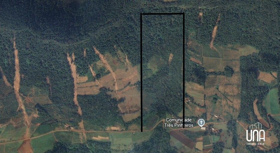 Chácara, 21 hectares - Foto 14